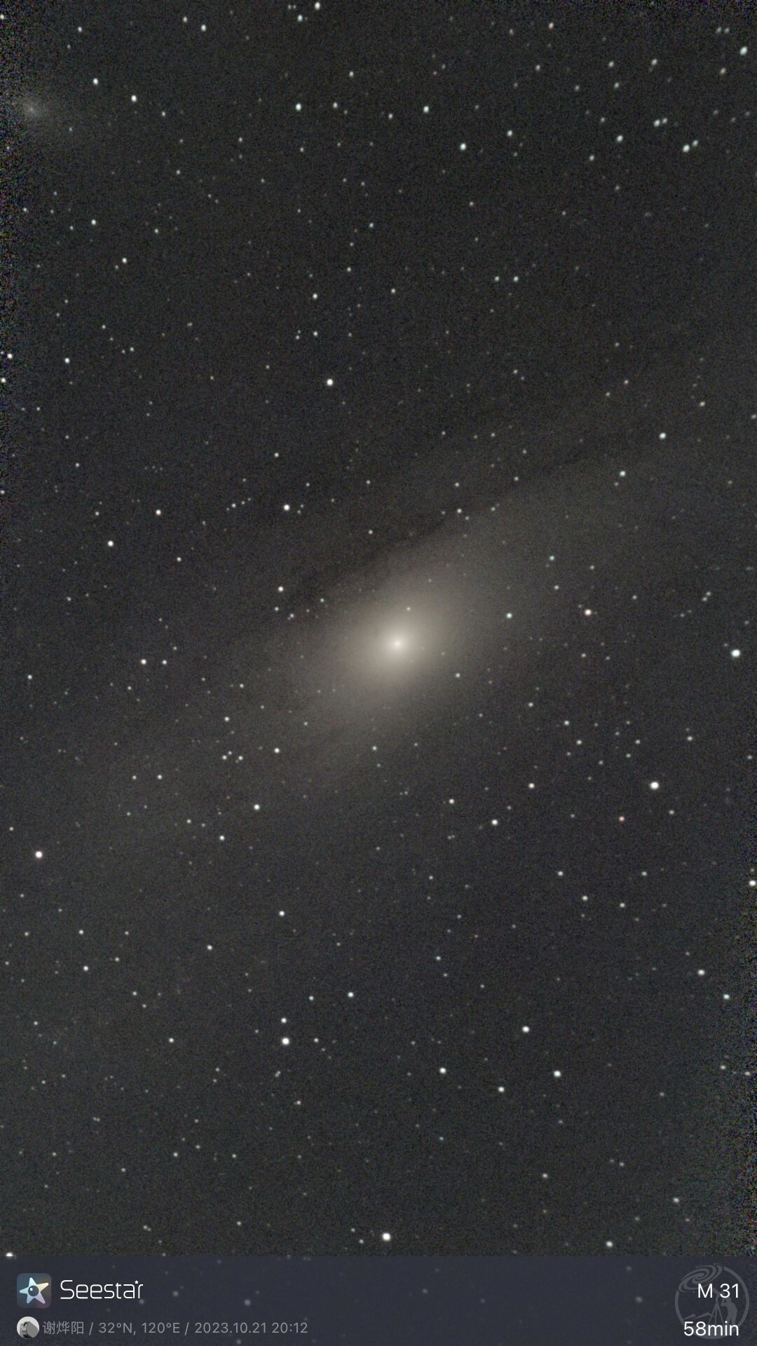 M31