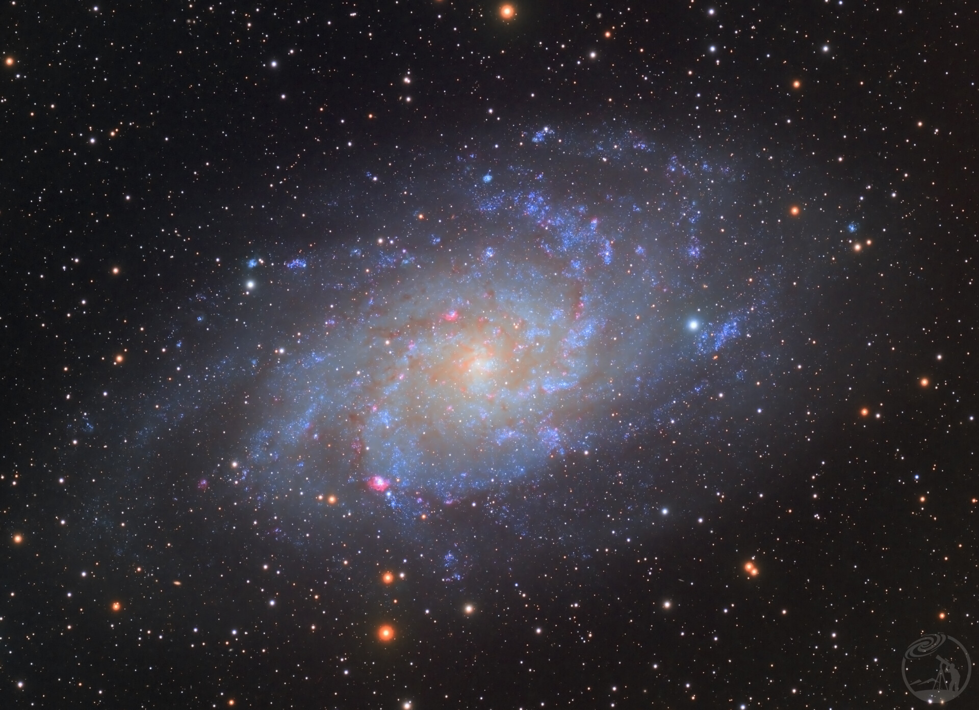 M33