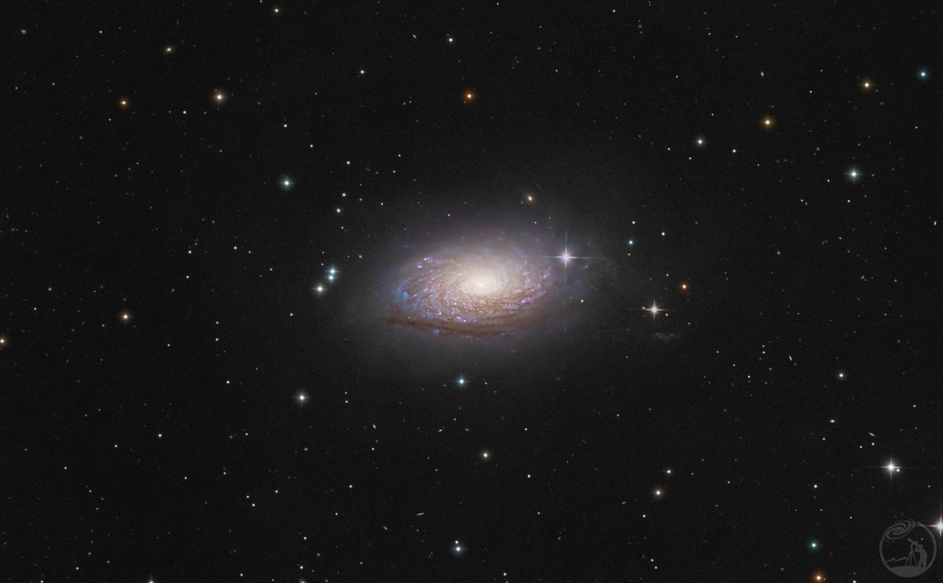 M63向日葵
