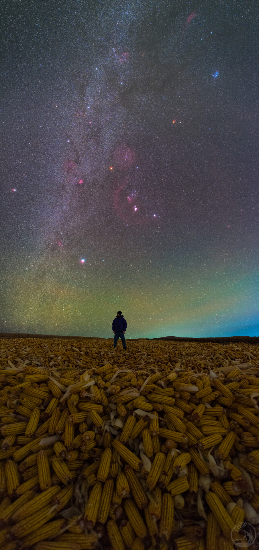 点点繁星下的丰收之海