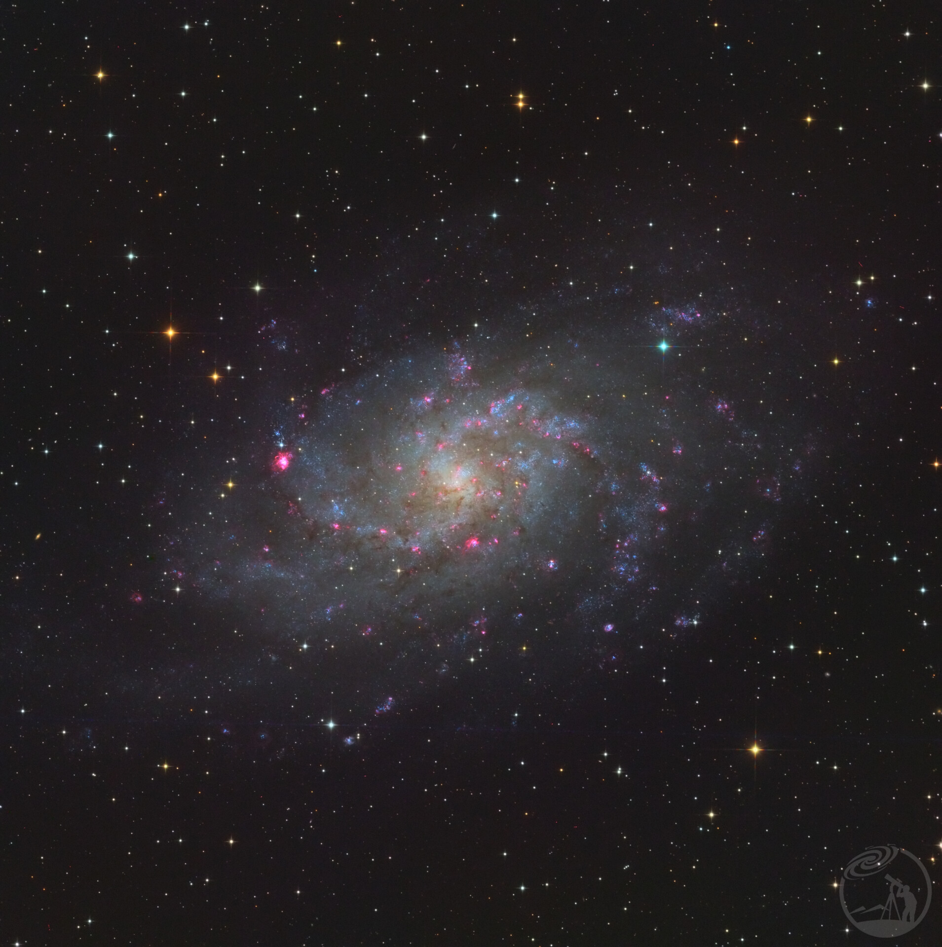 M33