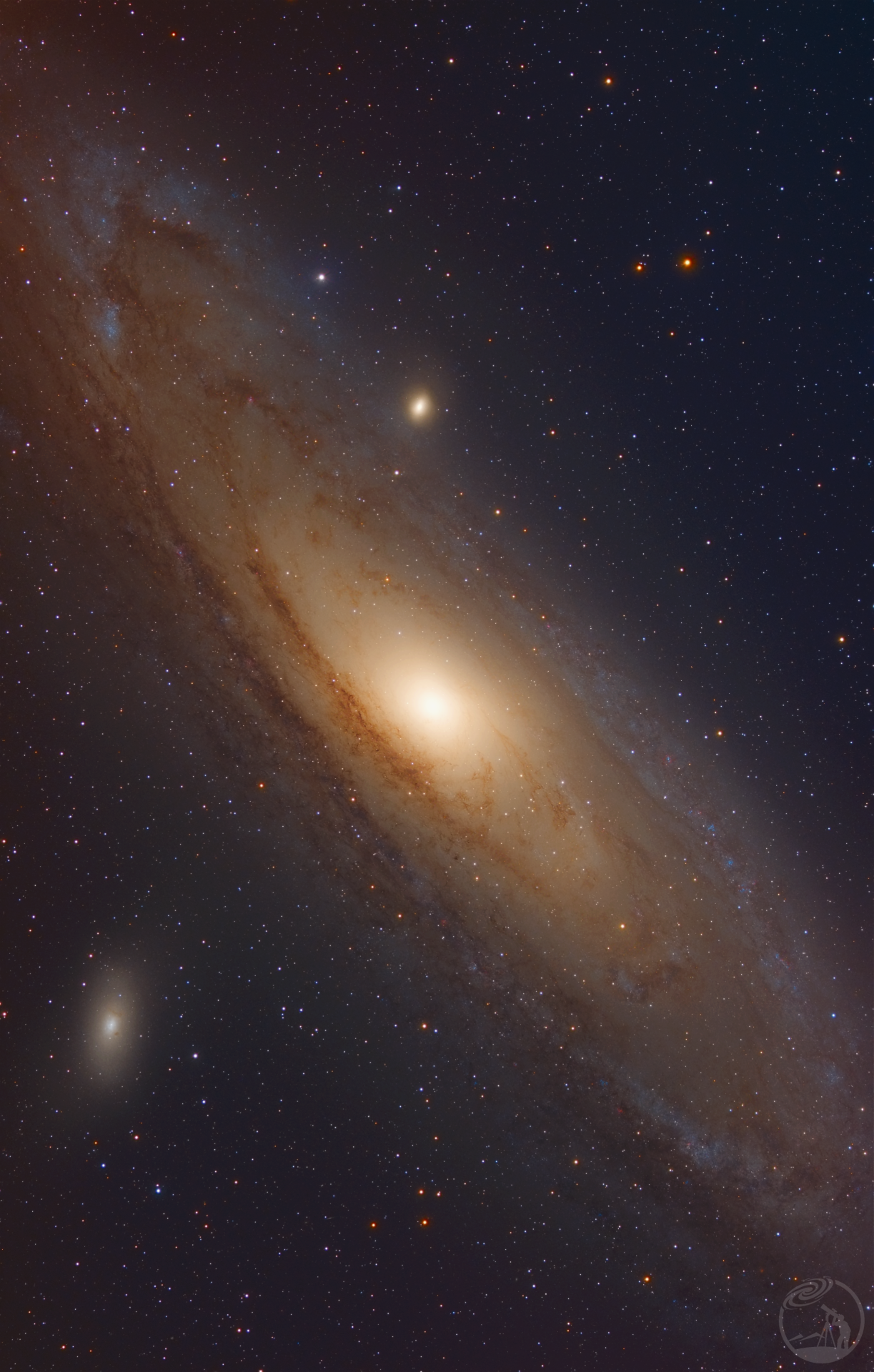 M31