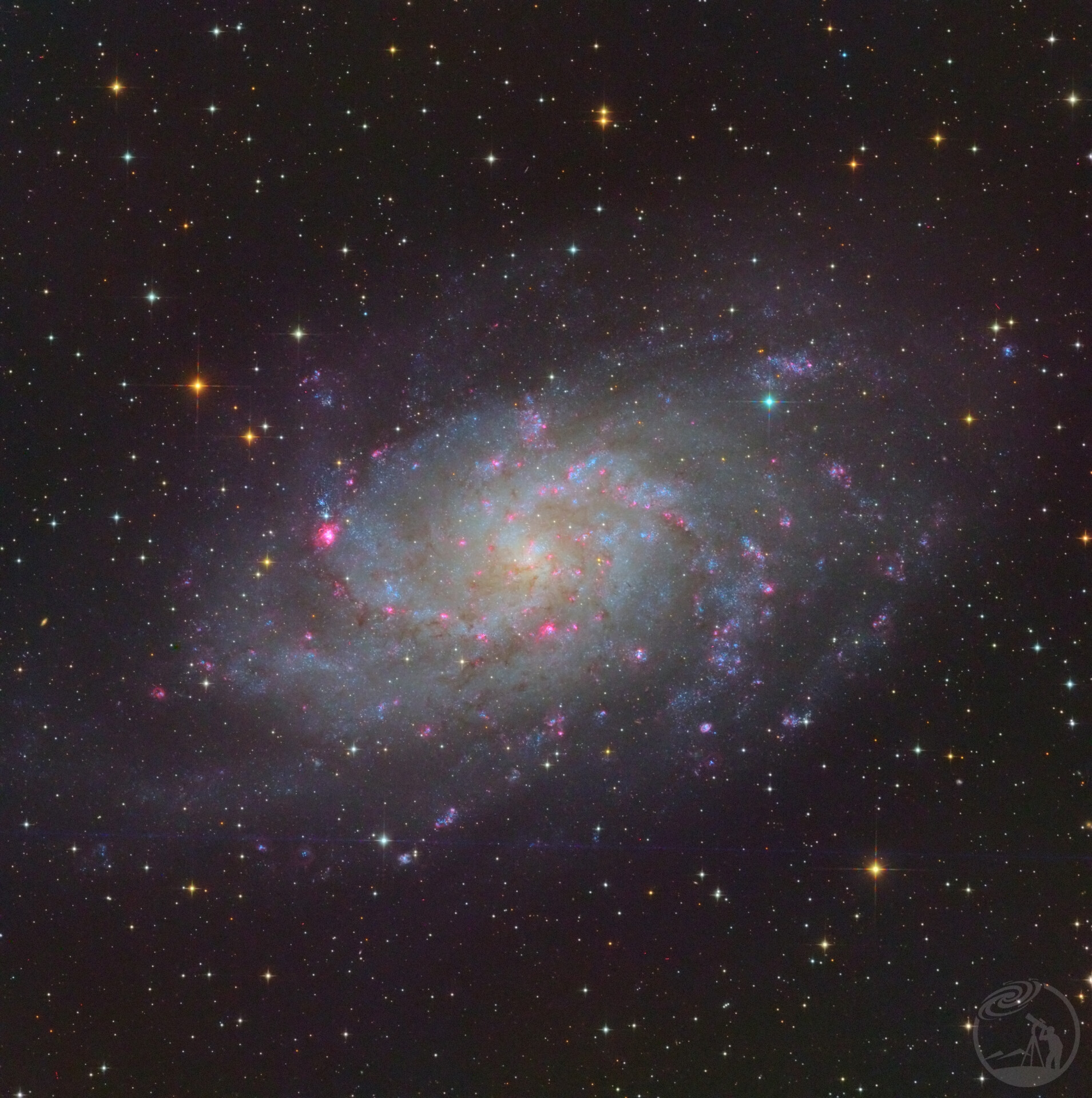M33