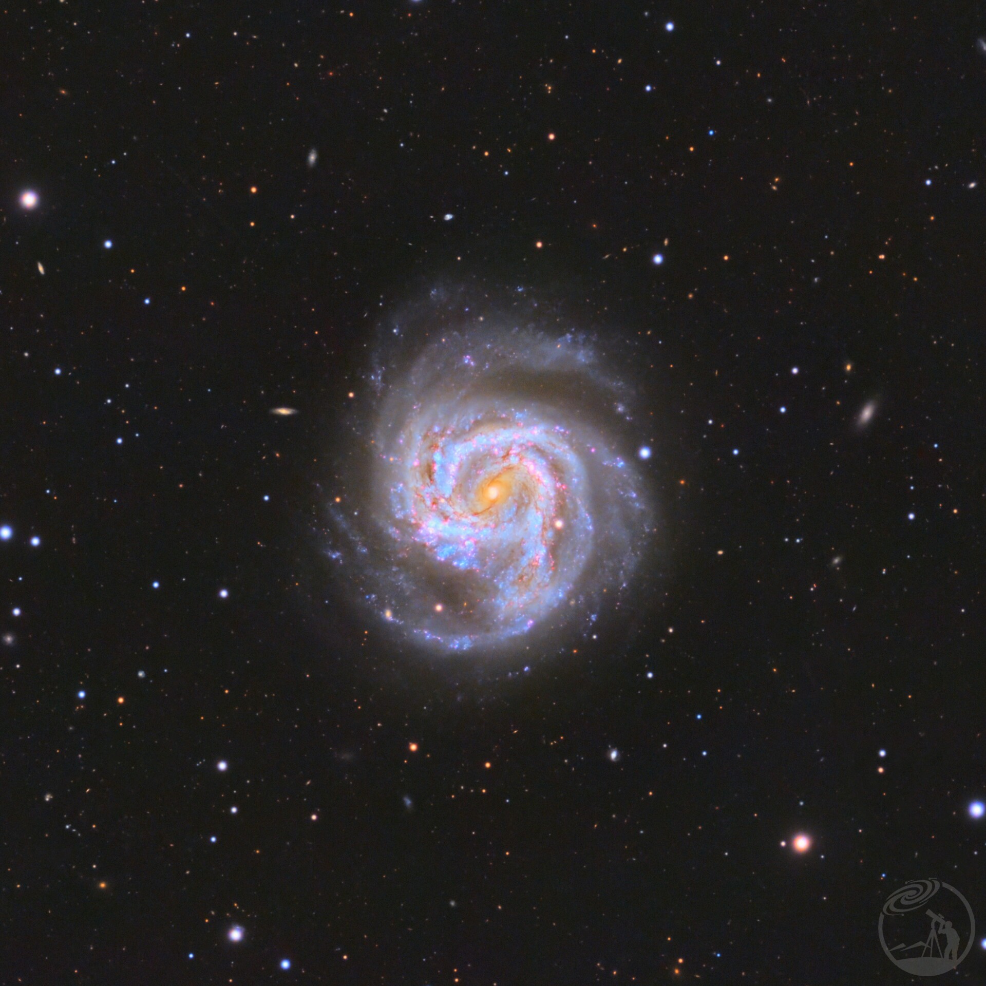 M61
