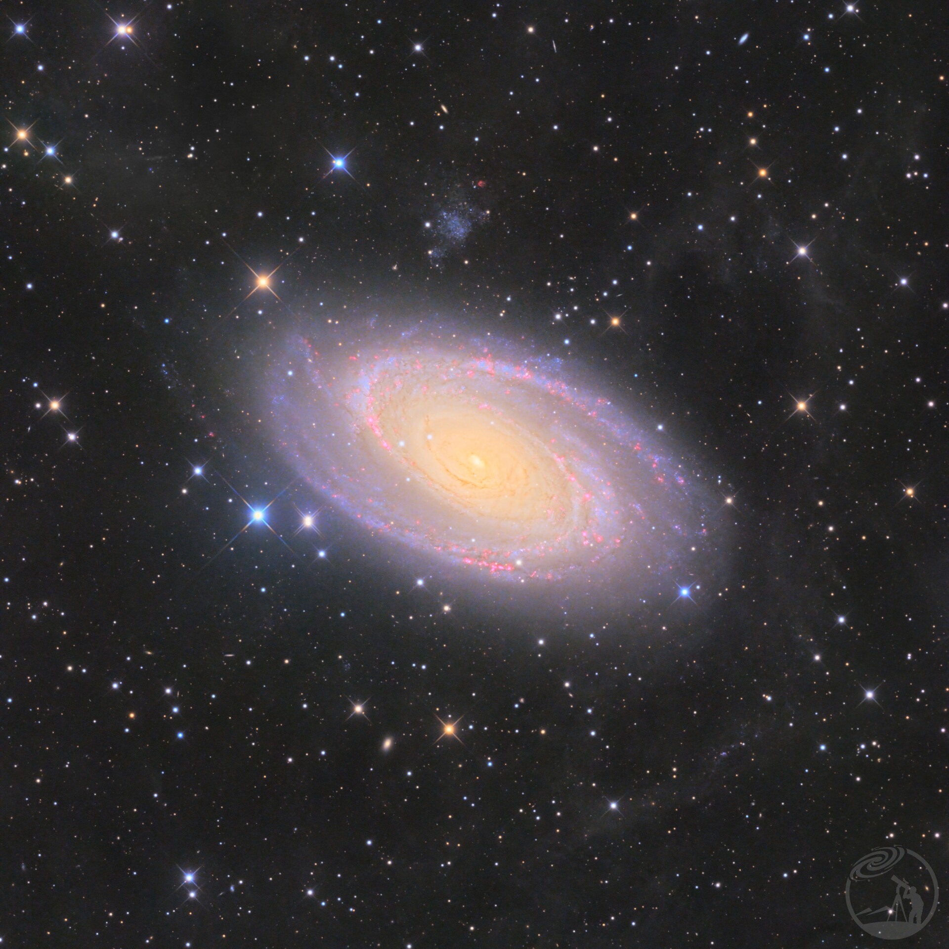M81
