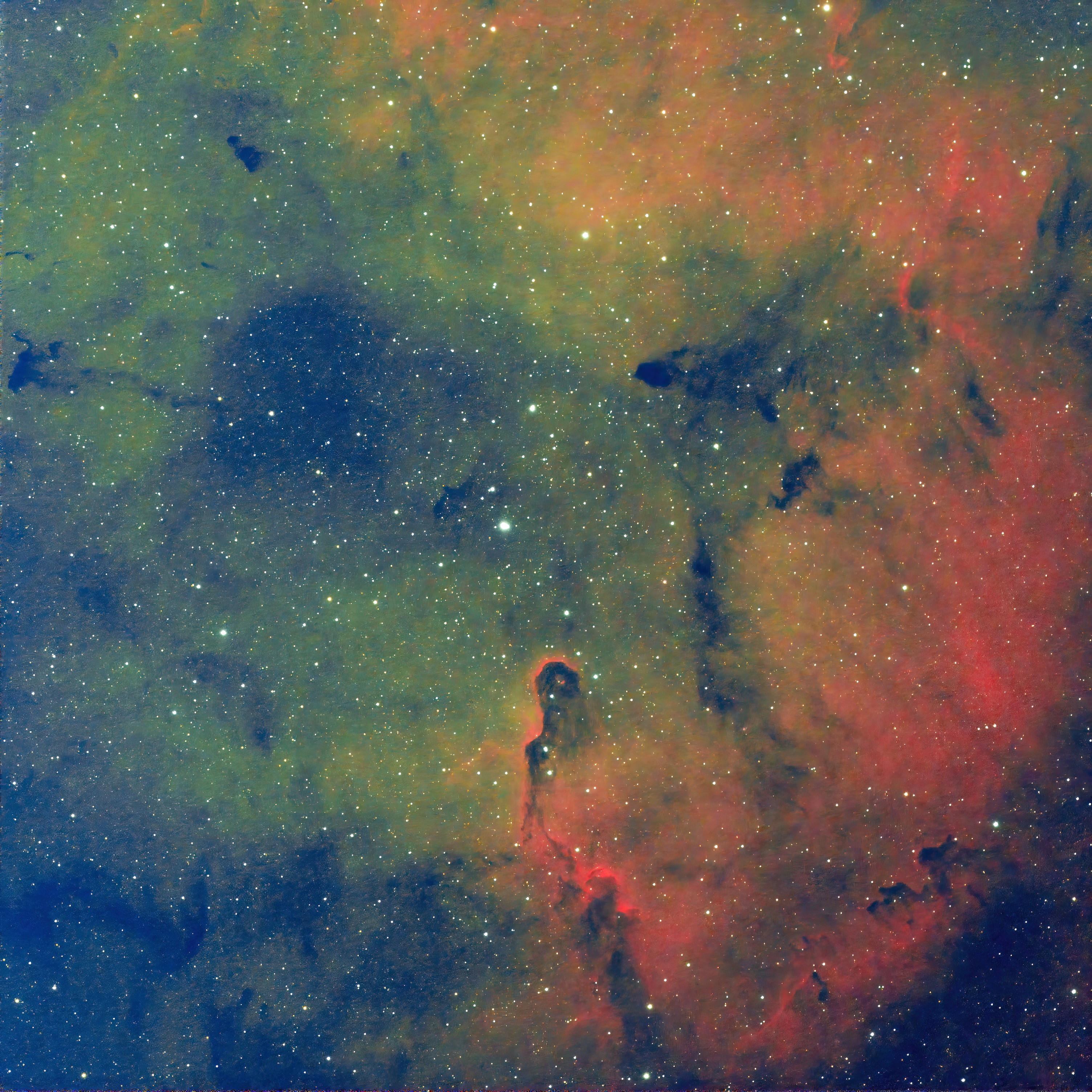 IC1396象鼻星云4小时练手