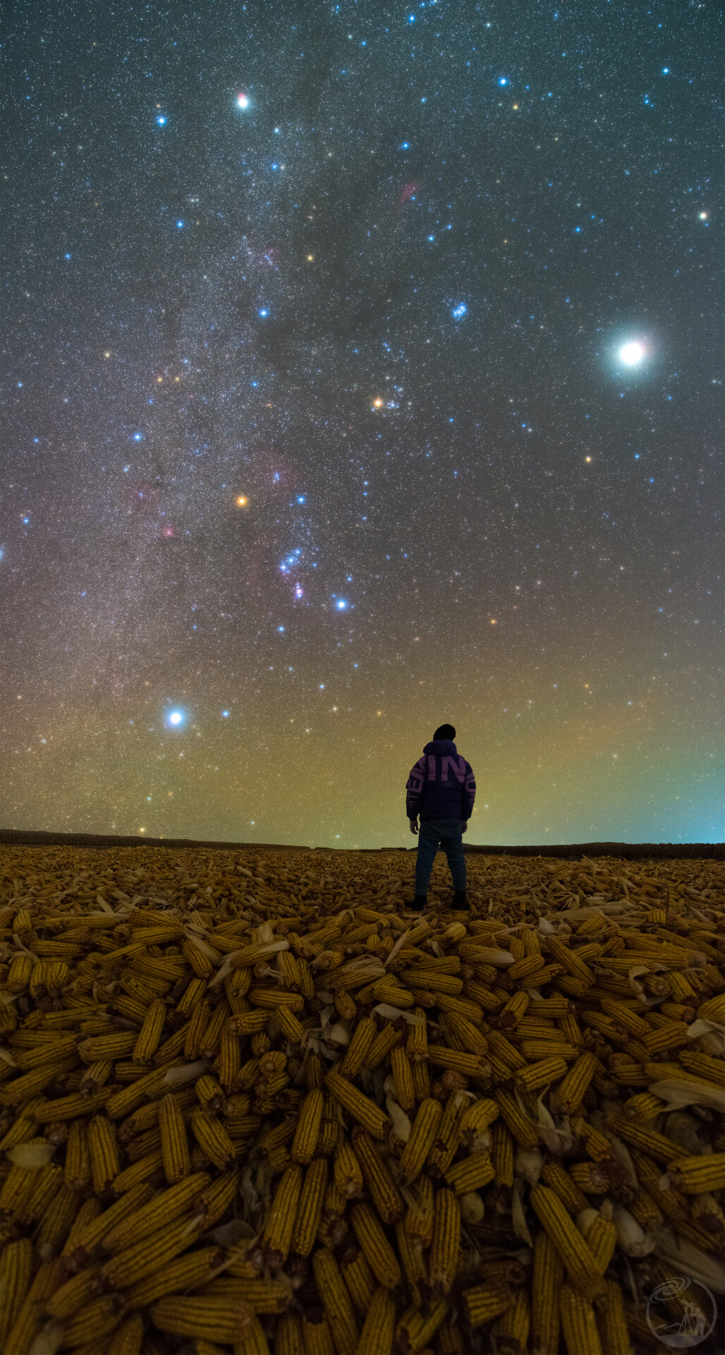 星耀金色大地