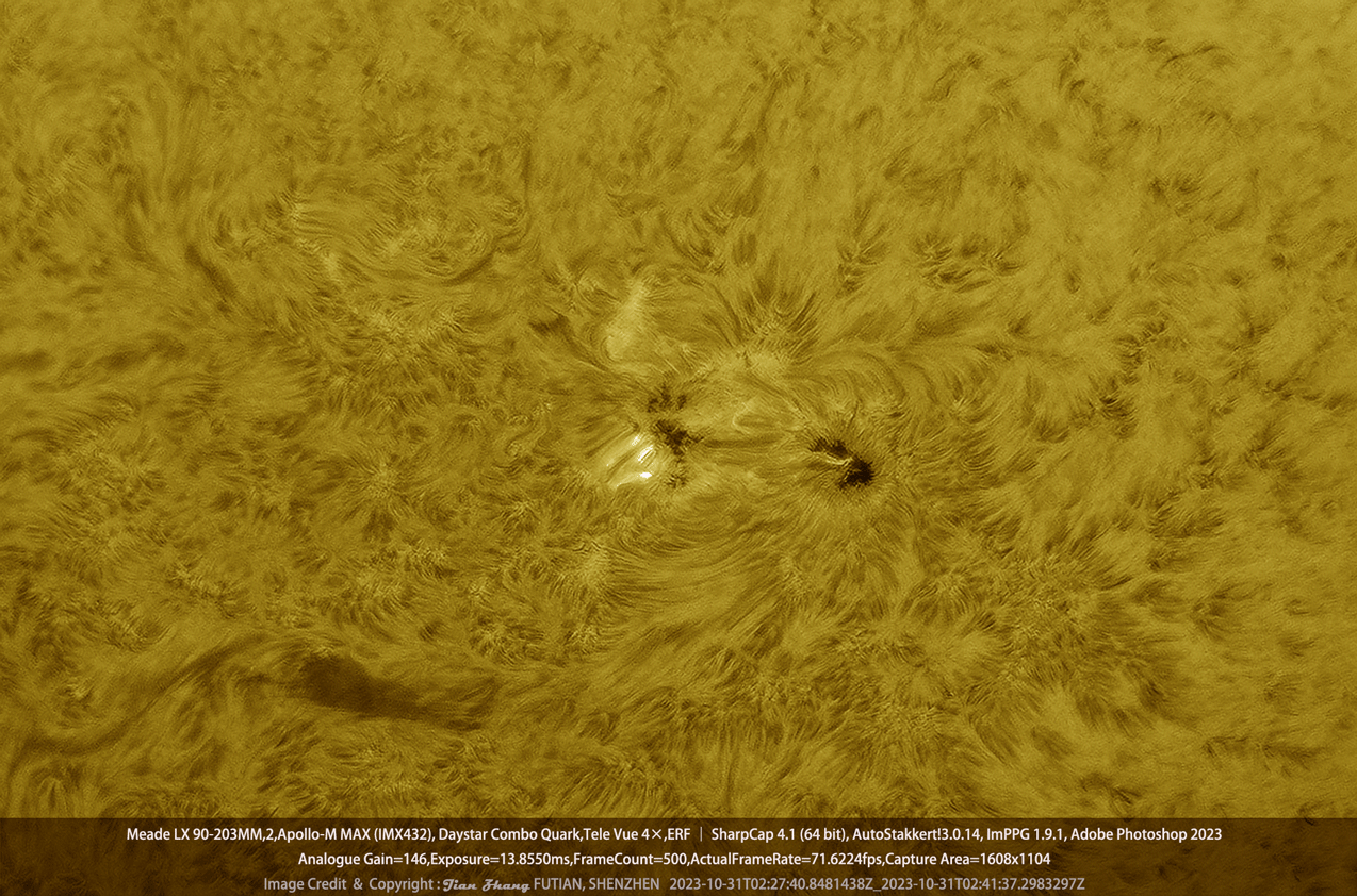 20231031——13474黑子群（GIF）