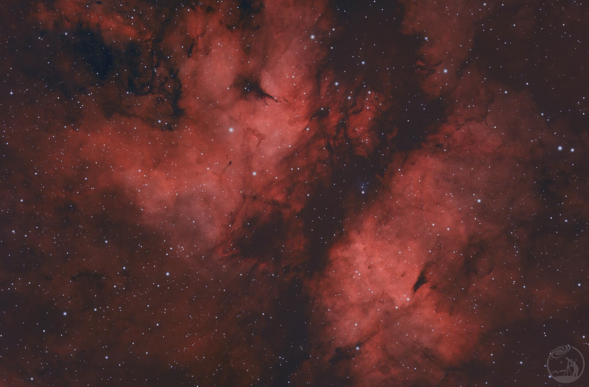 IC1318蝴蝶星云