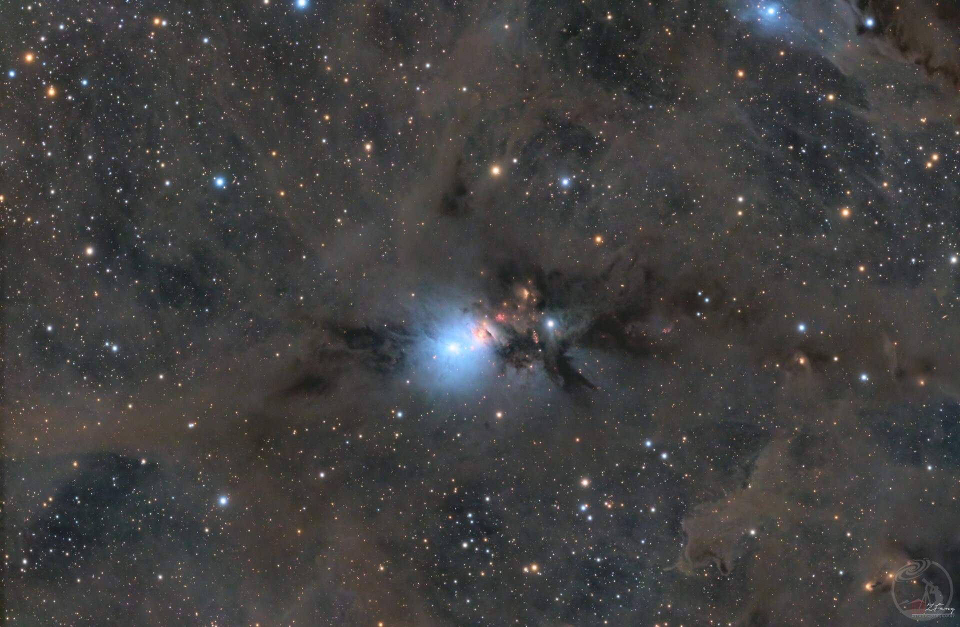 NGC1333