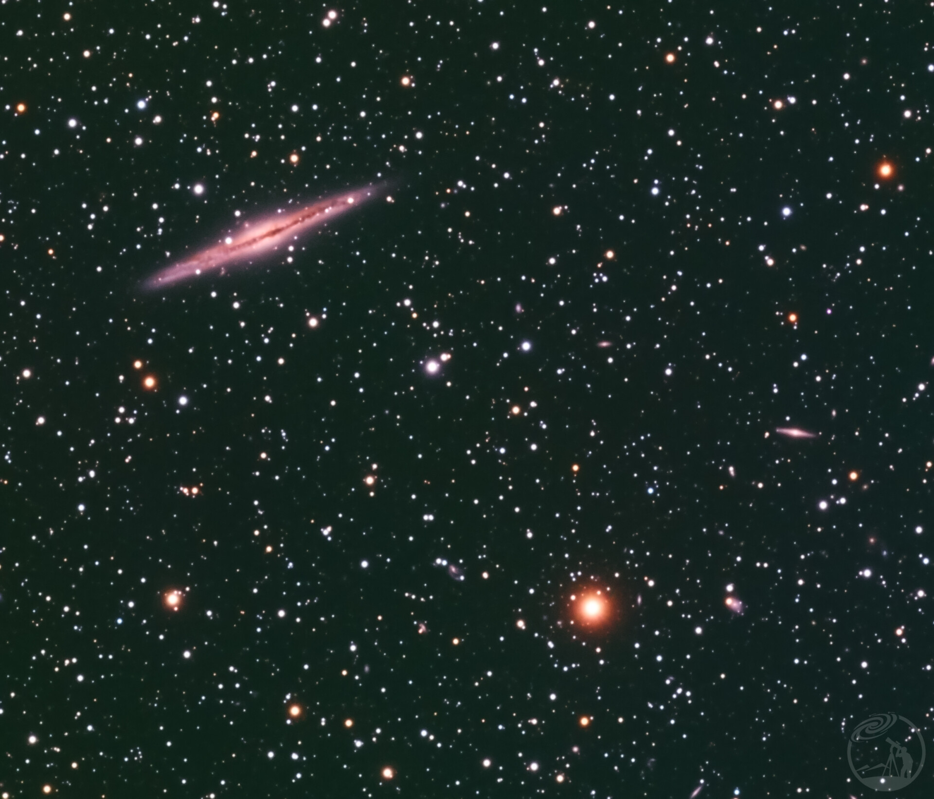 102酱油NGC891