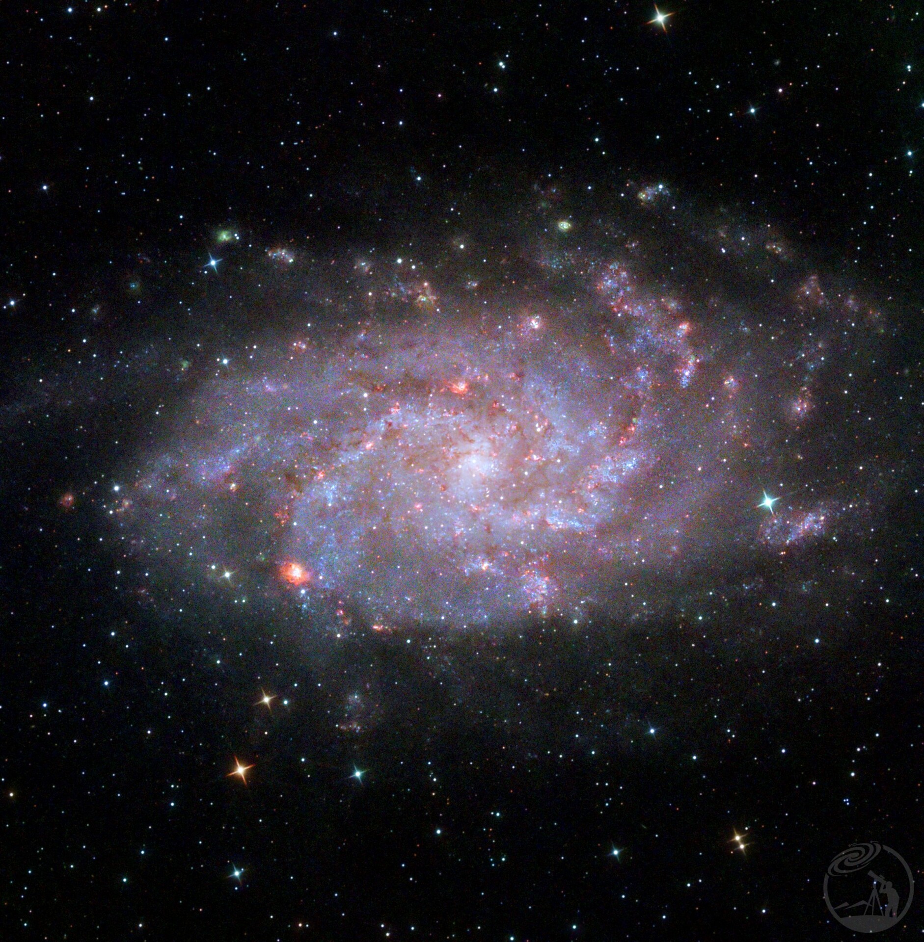 M33