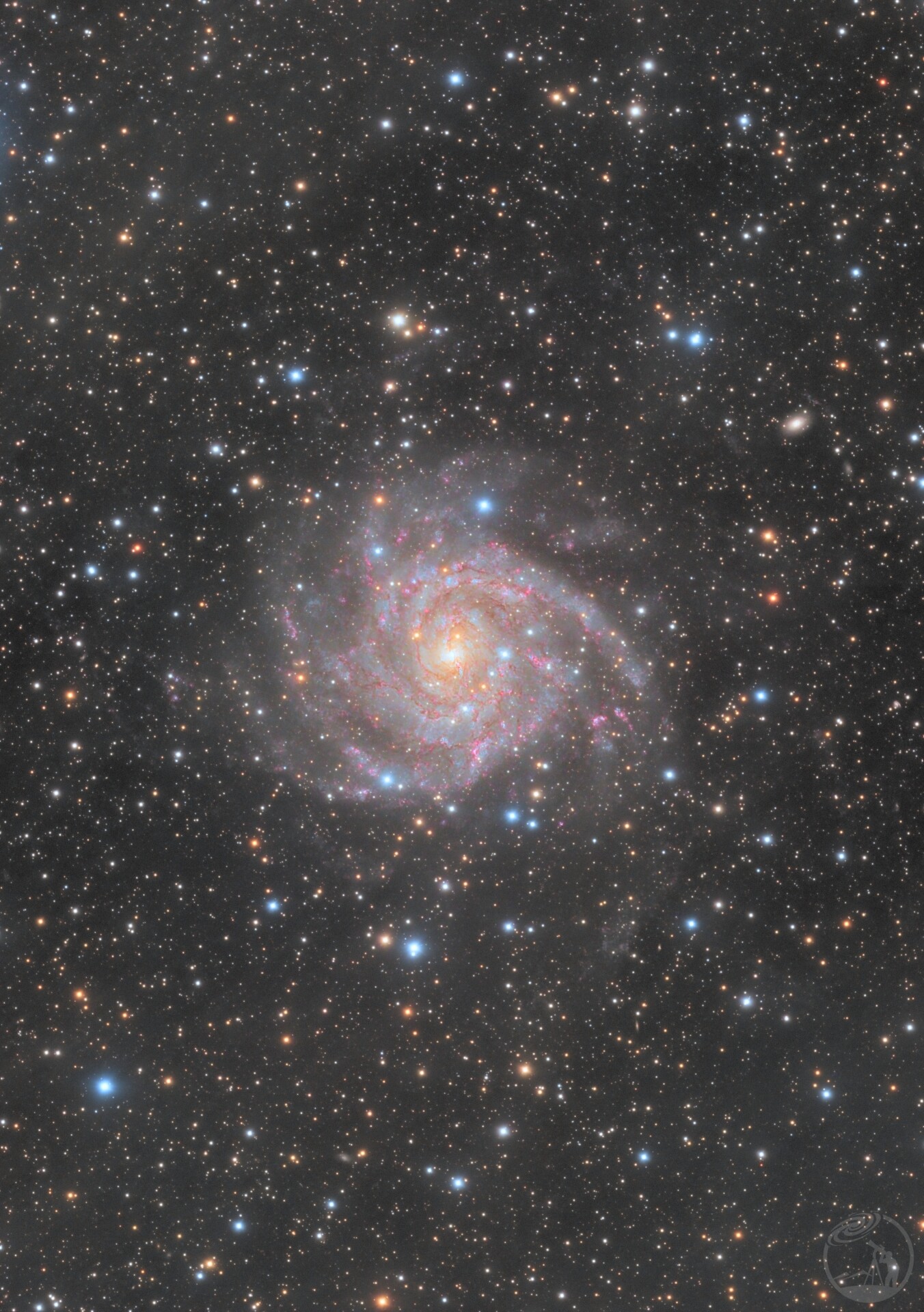 IC 342