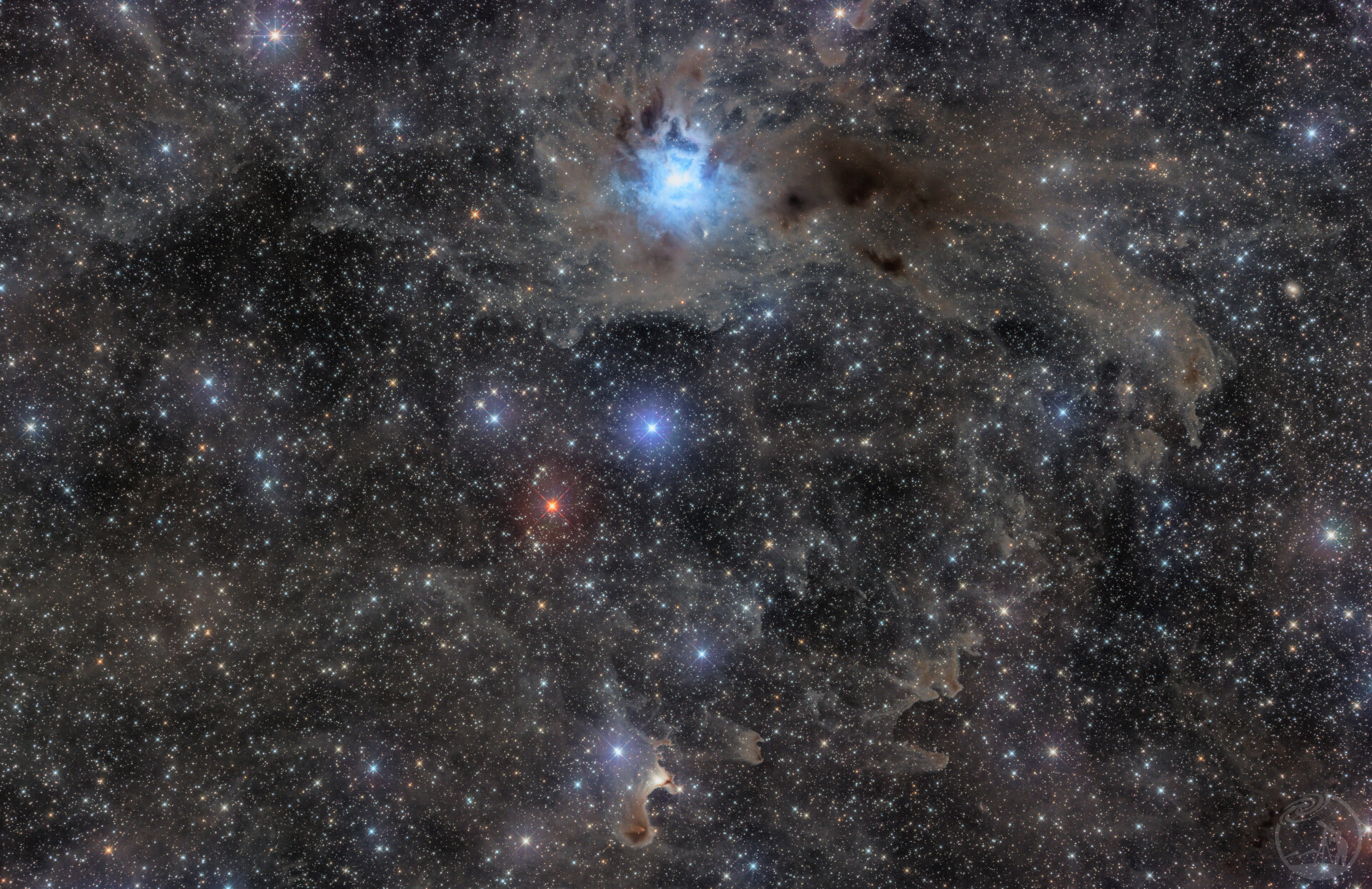 NGC7029