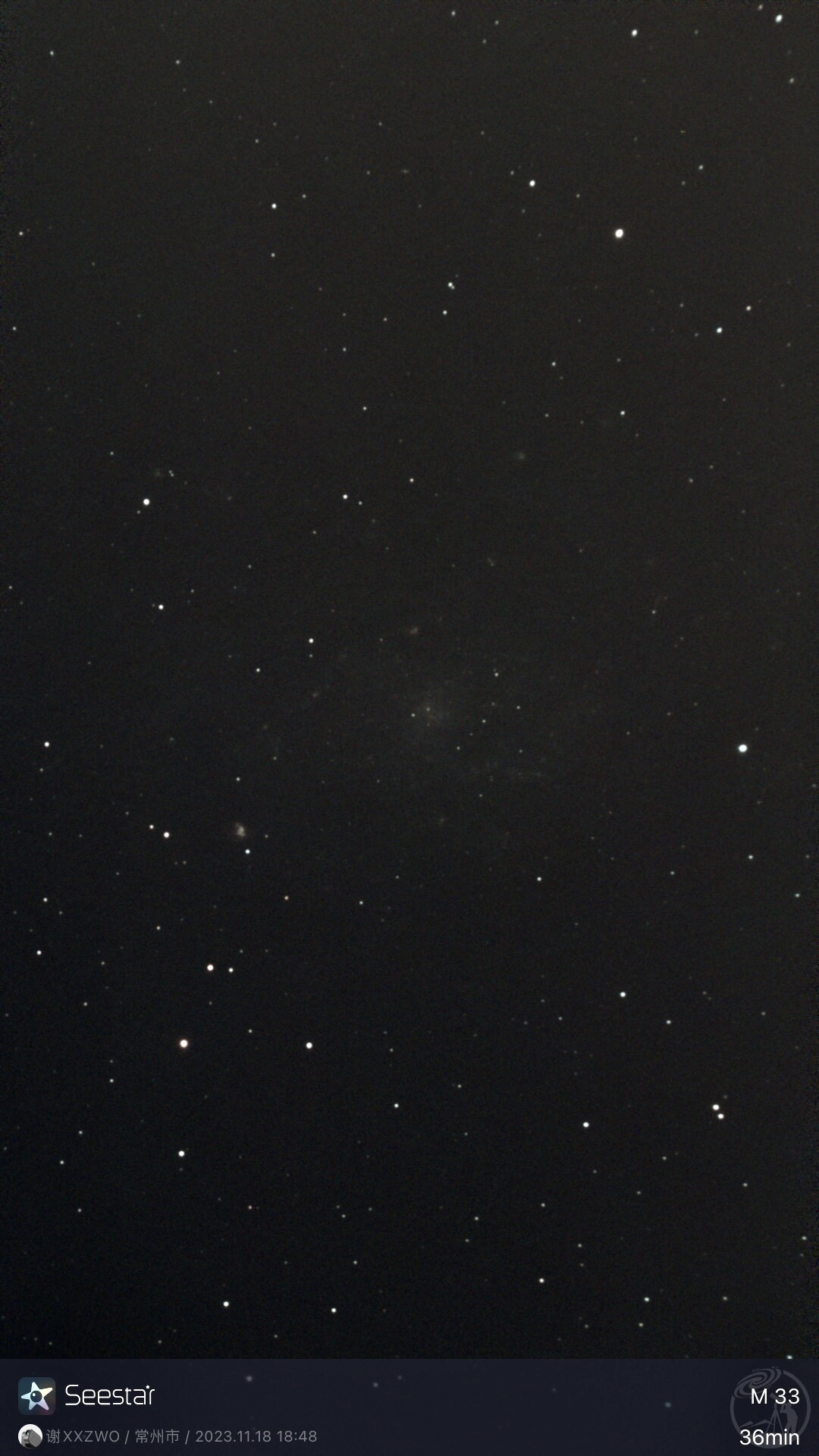 M33