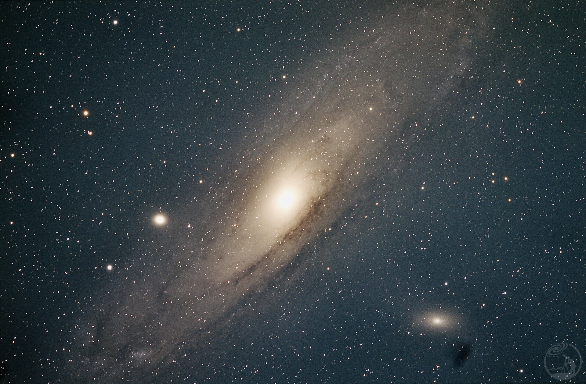 M31