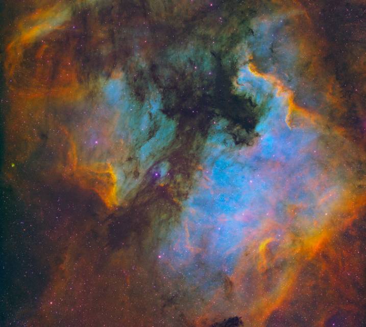 二级区小房牛北美+鹈鹕