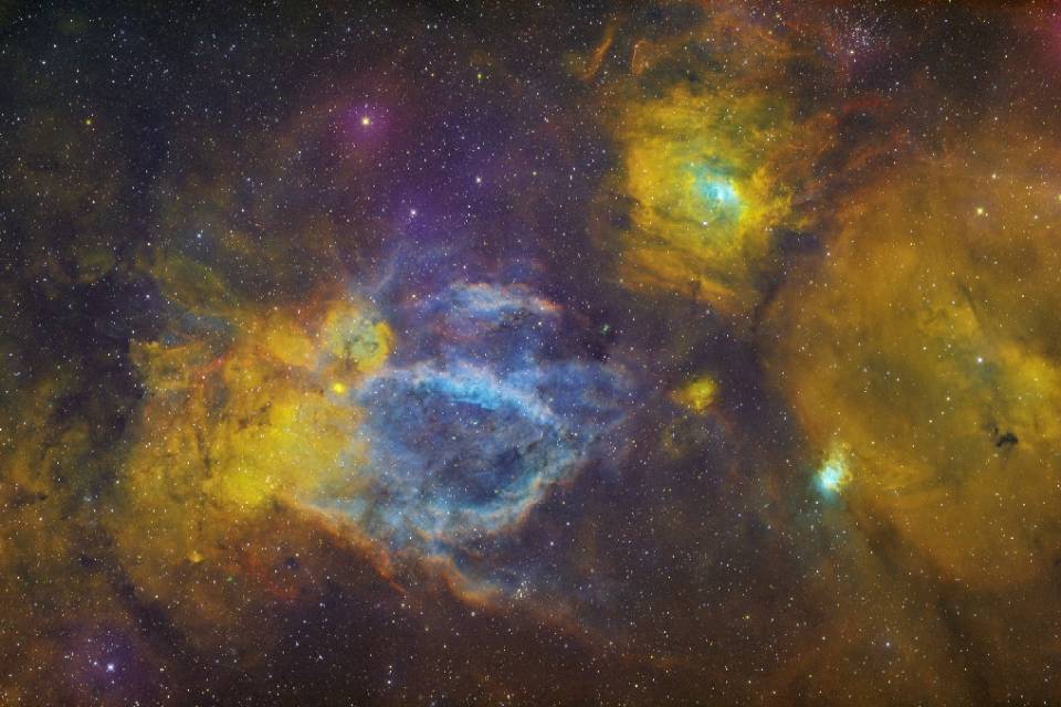 二级区小房牛气泡+龙虾钳