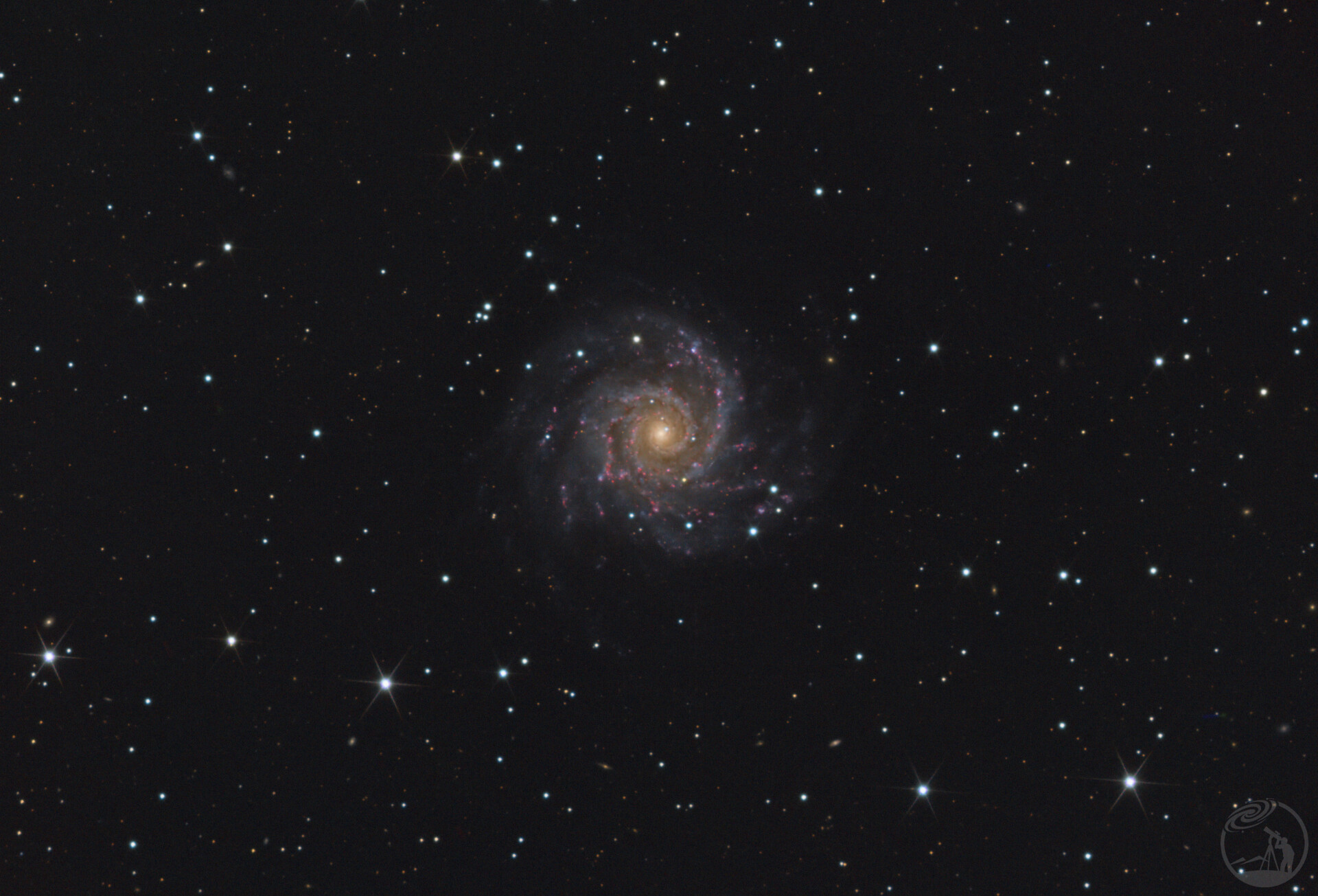 M74