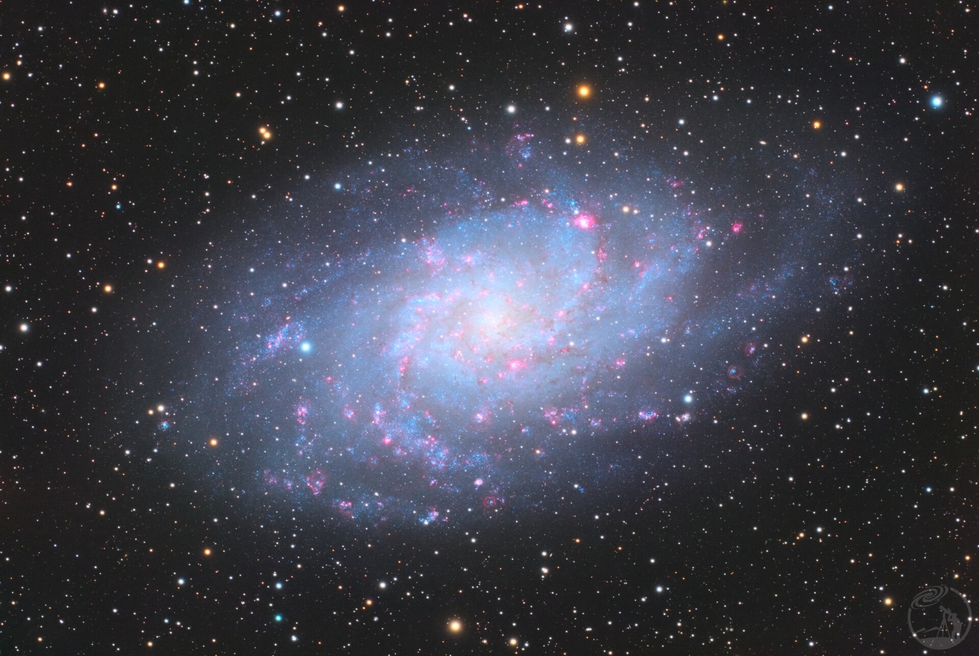 M33