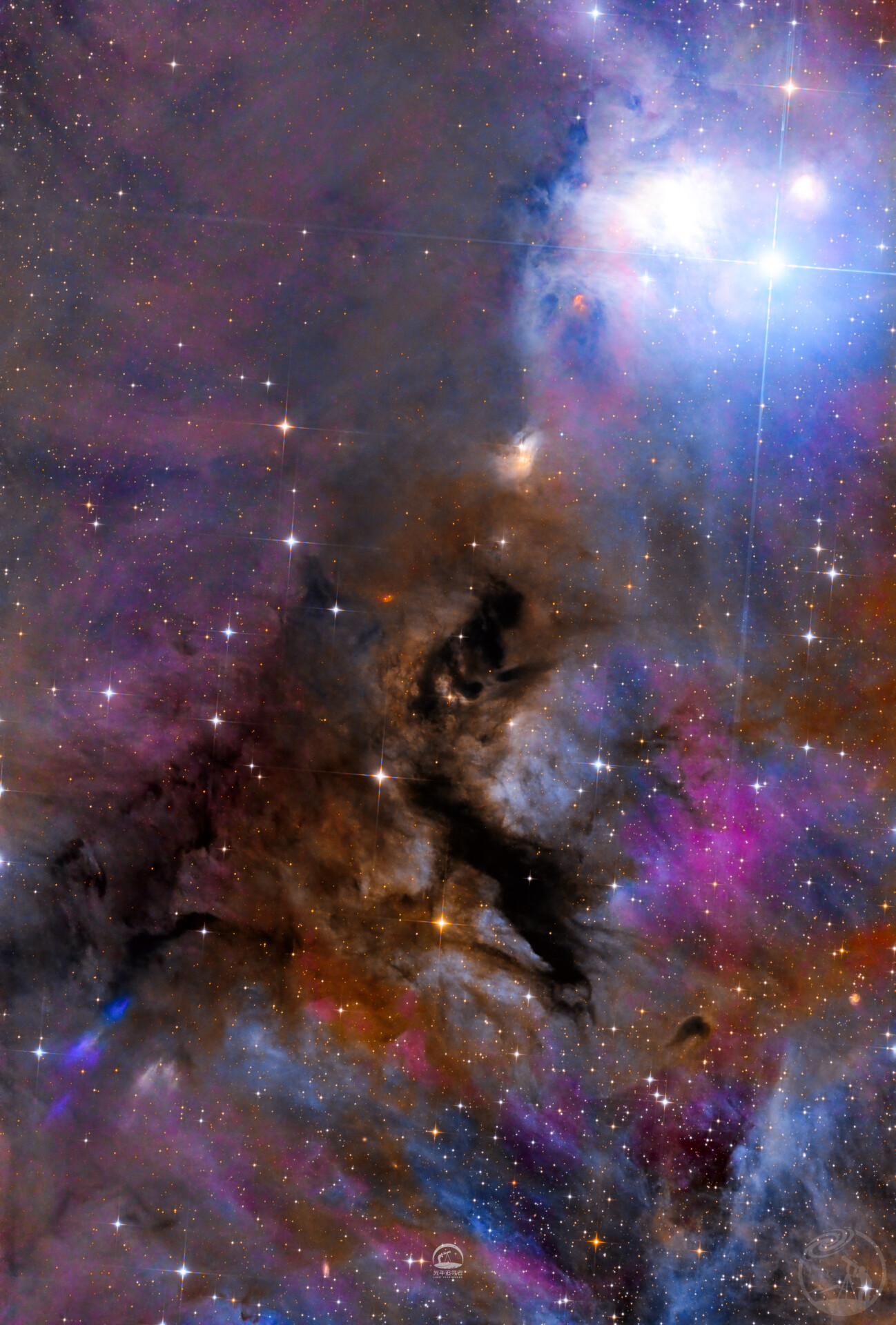 IC 348 带星云状组织星团