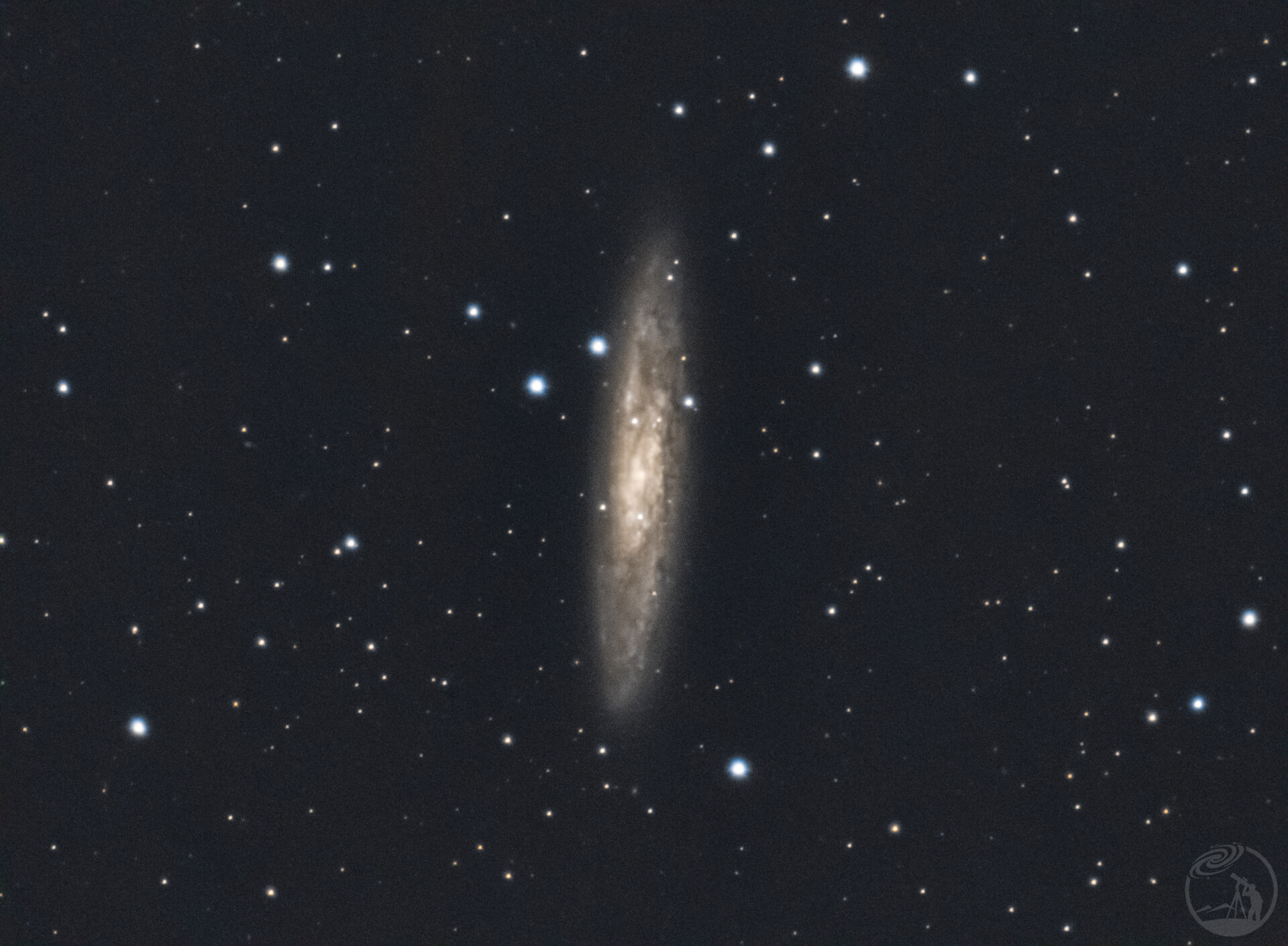 ngc253