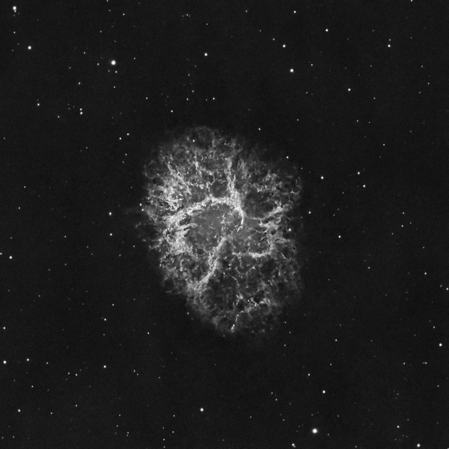 【9级深空系列】M1-Crab.蟹状星云(氢氧硫元素分布GIF）