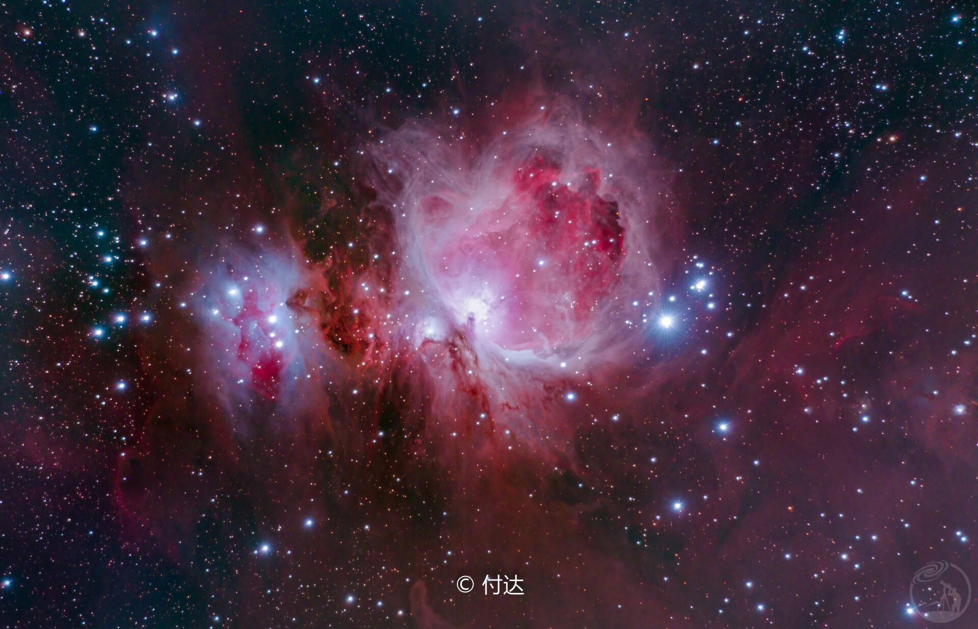 M42猎户座大星云打野