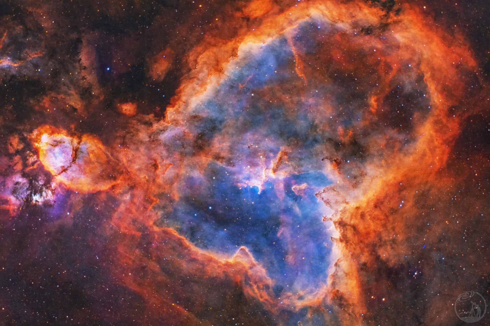 IC1805心脏鱼头