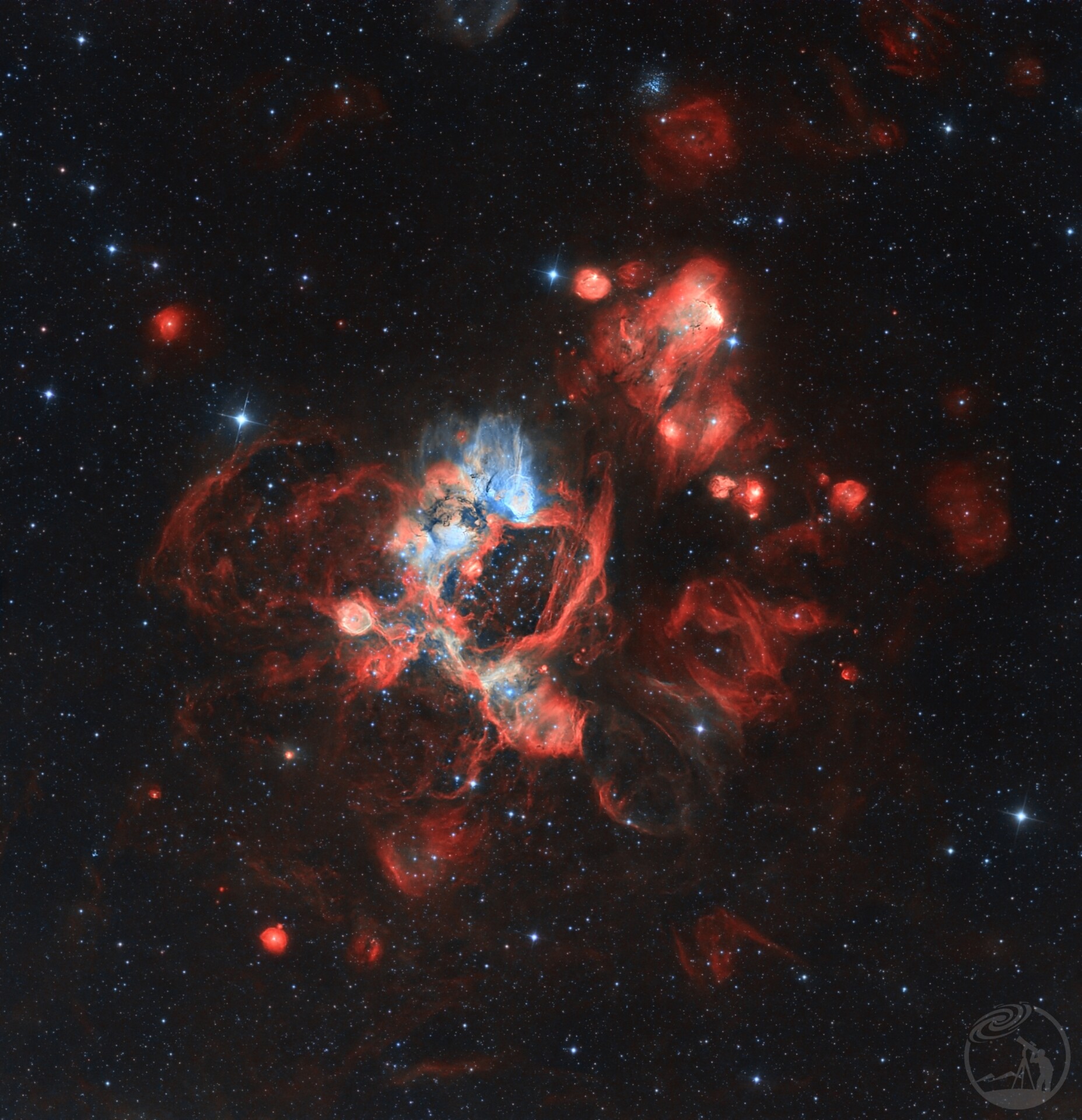 N44