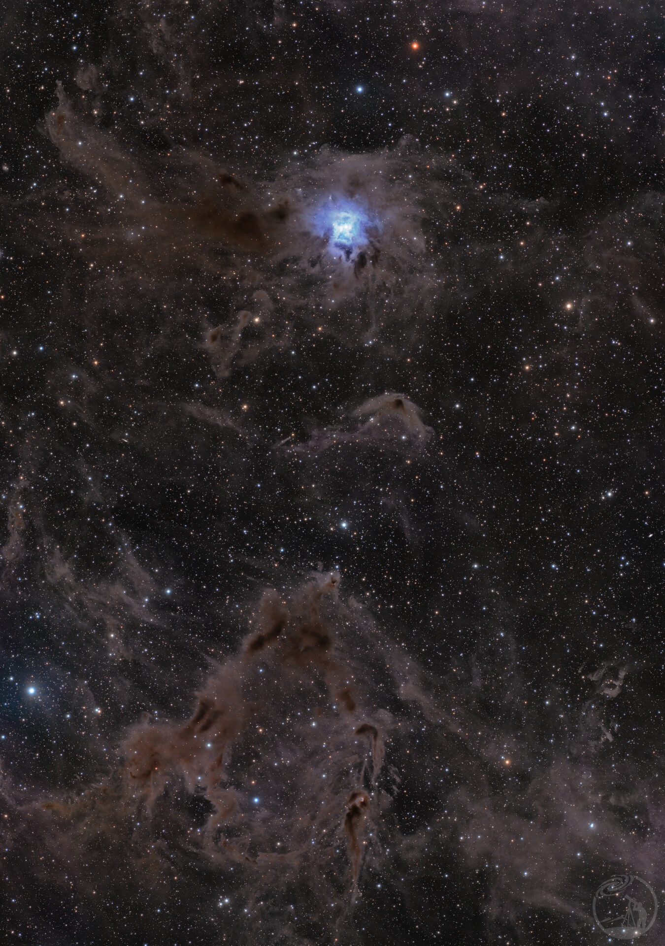 NGC7023鸢尾花星云