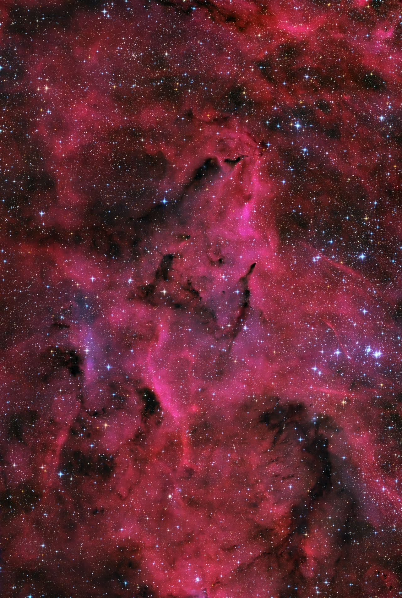 【黑区暗星云 】Barnard147