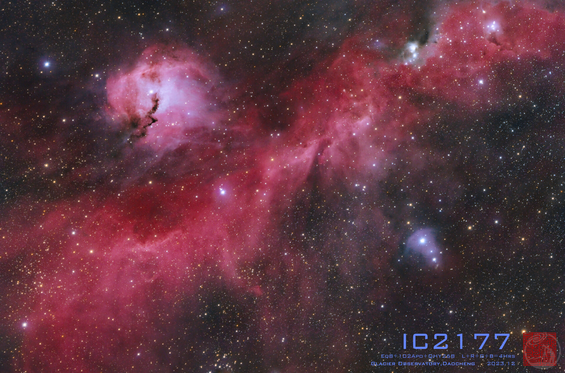 海鸥星云 IC2177