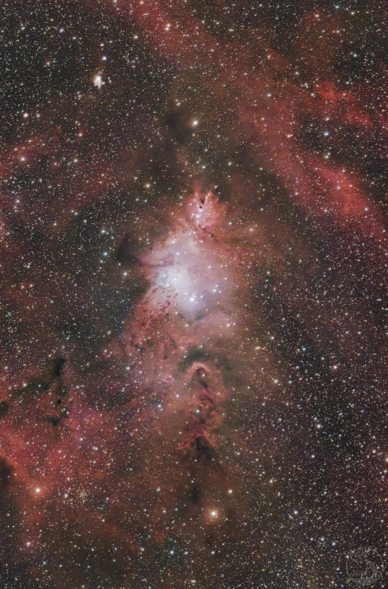 圣诞树星云 NGC2264