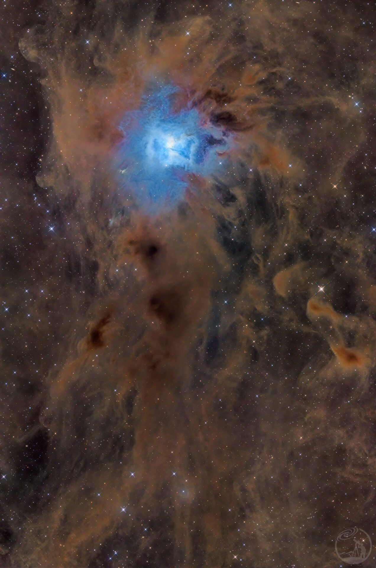 鸢尾花星云NGC7023