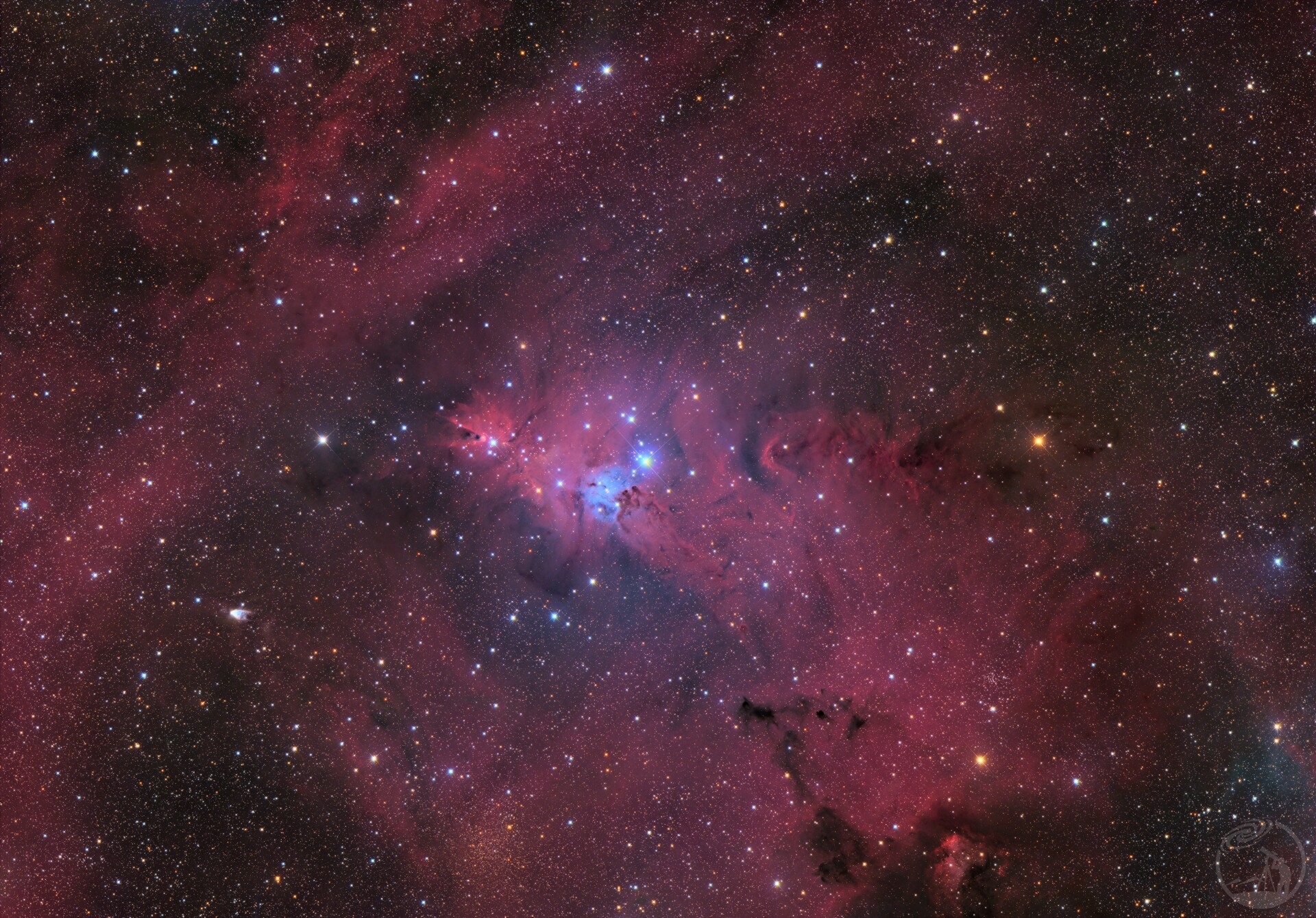 ngc2264圣诞树星云