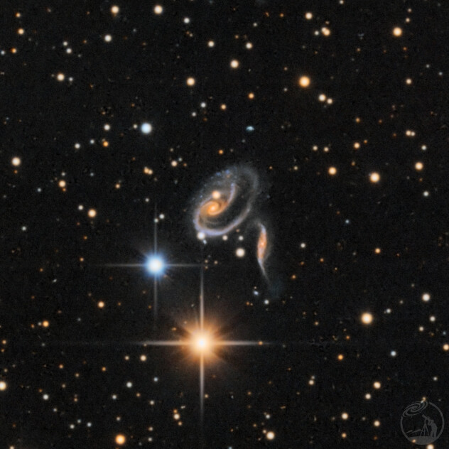 Arp273