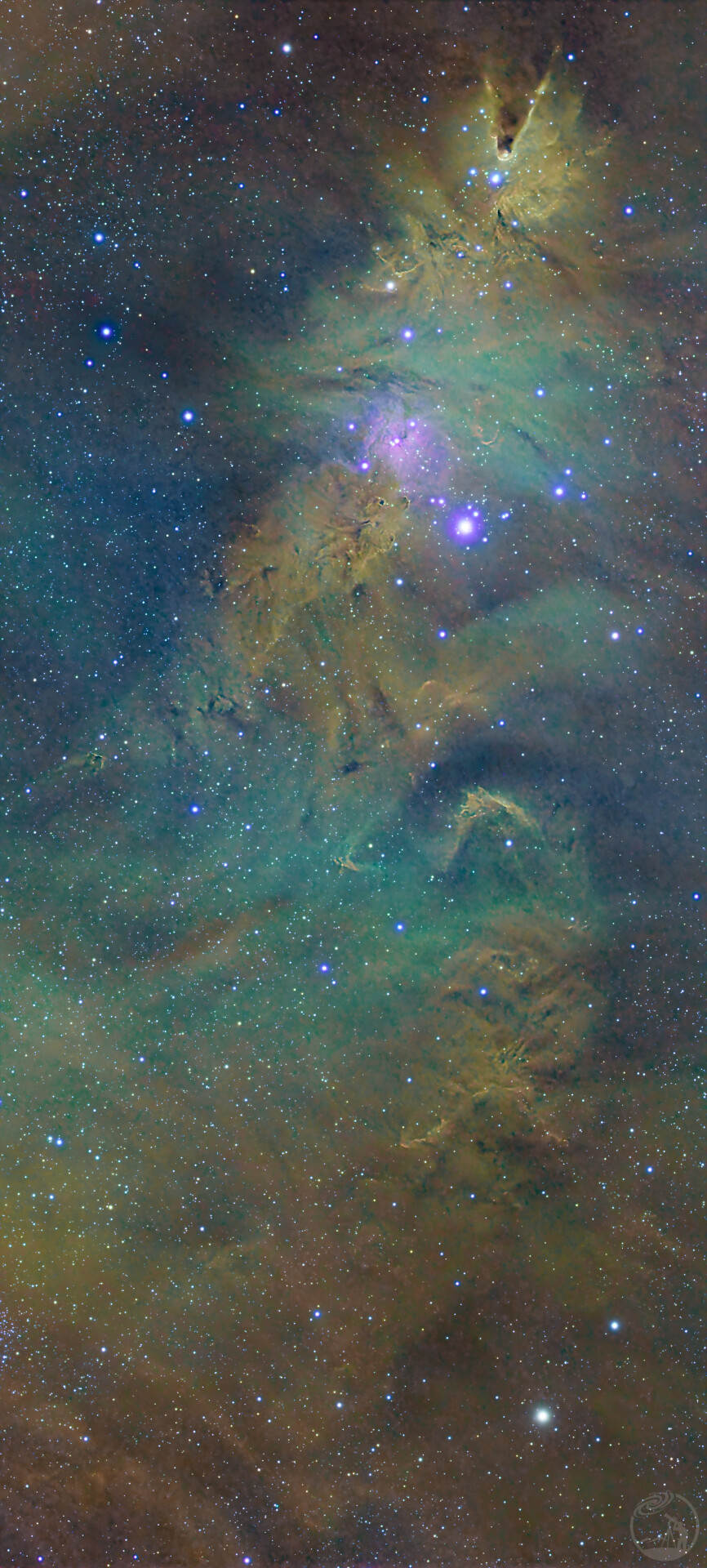 圣诞树星云彩机SHO