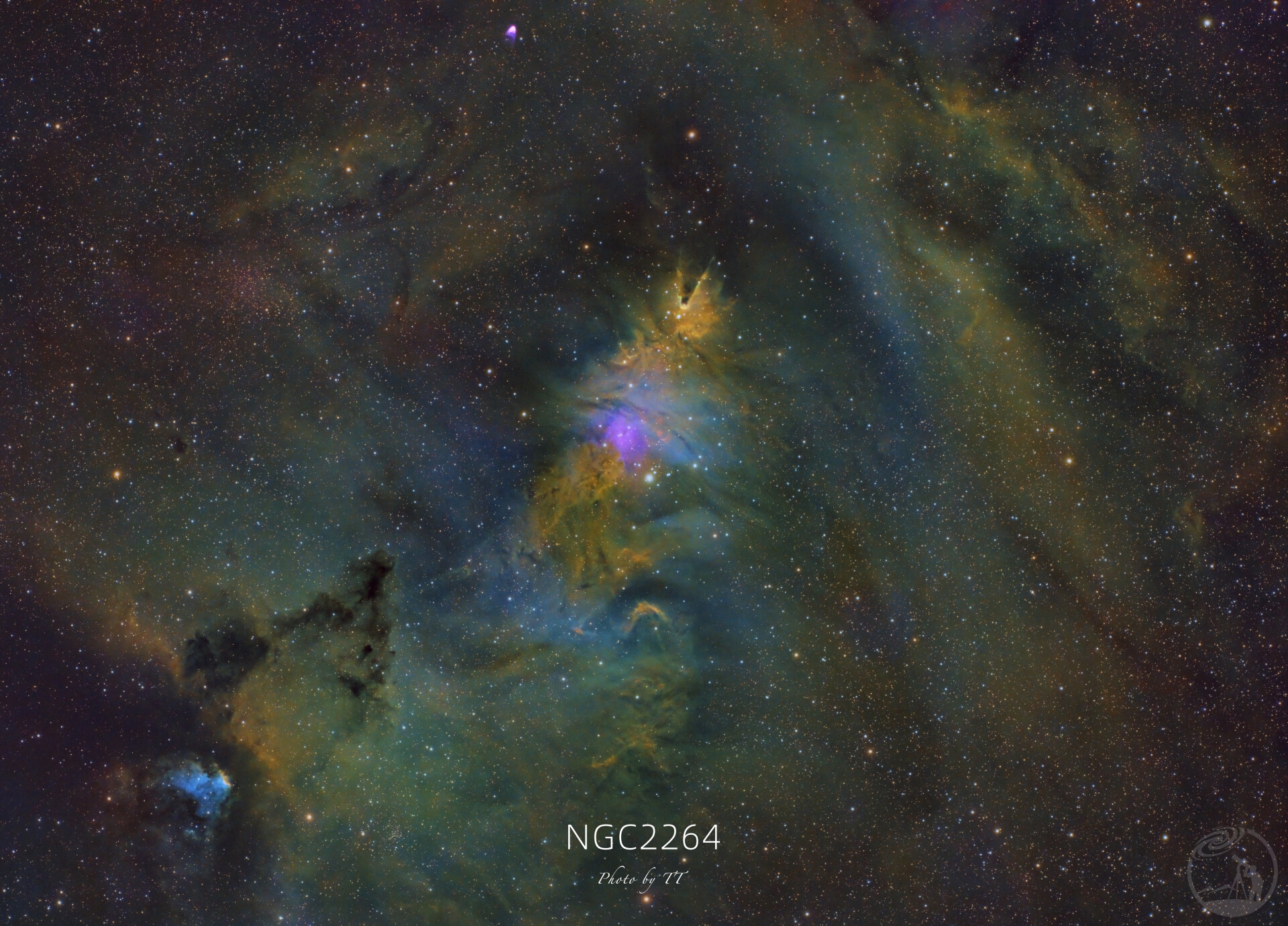 NGC2264圣诞树星云