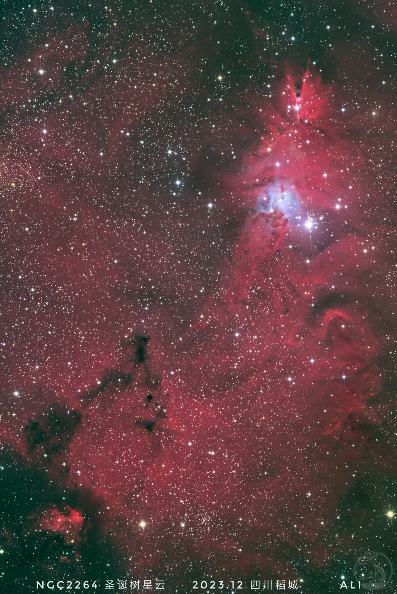 ngc2264圣诞树星云