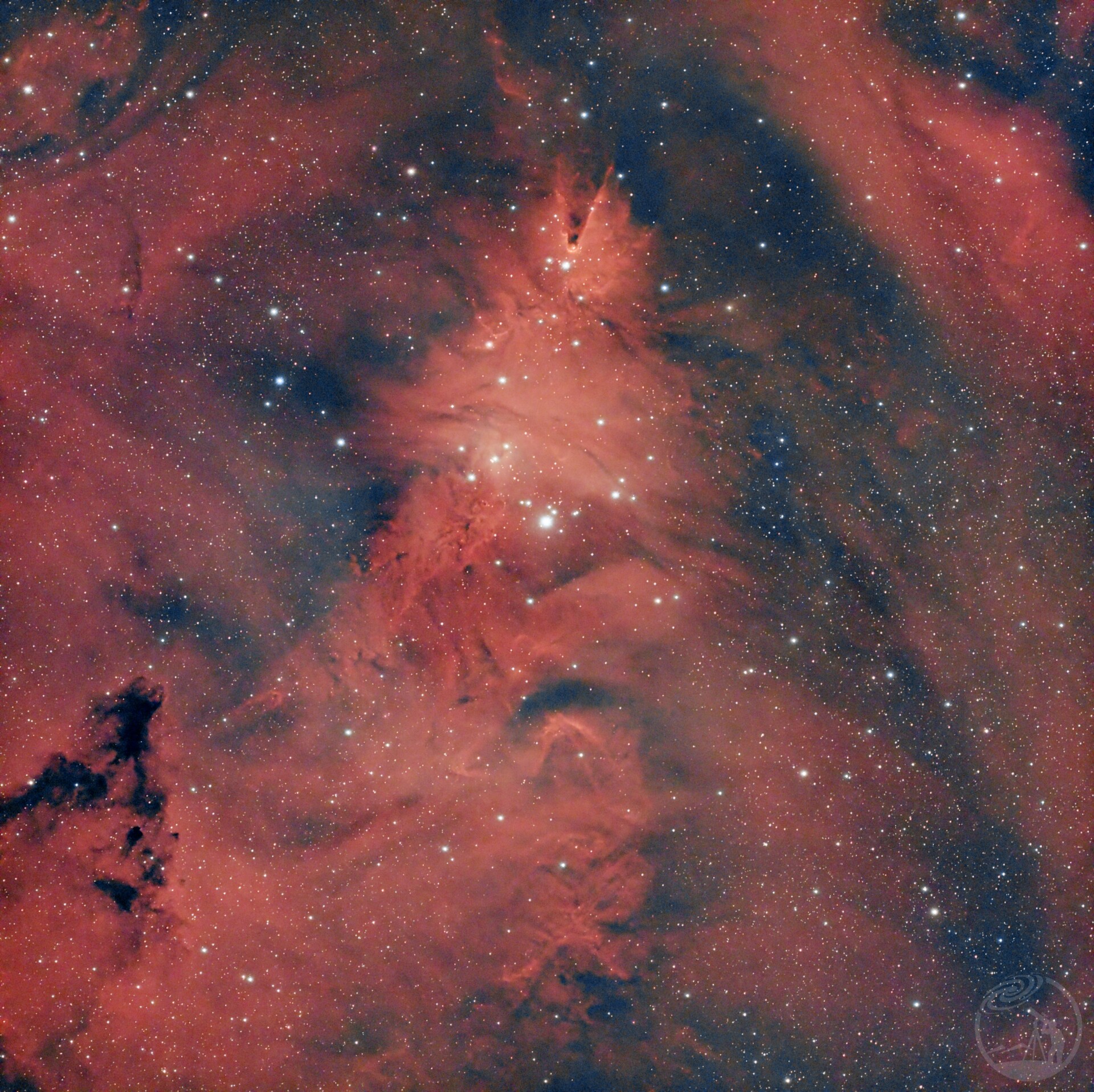 NGC2264圣诞树