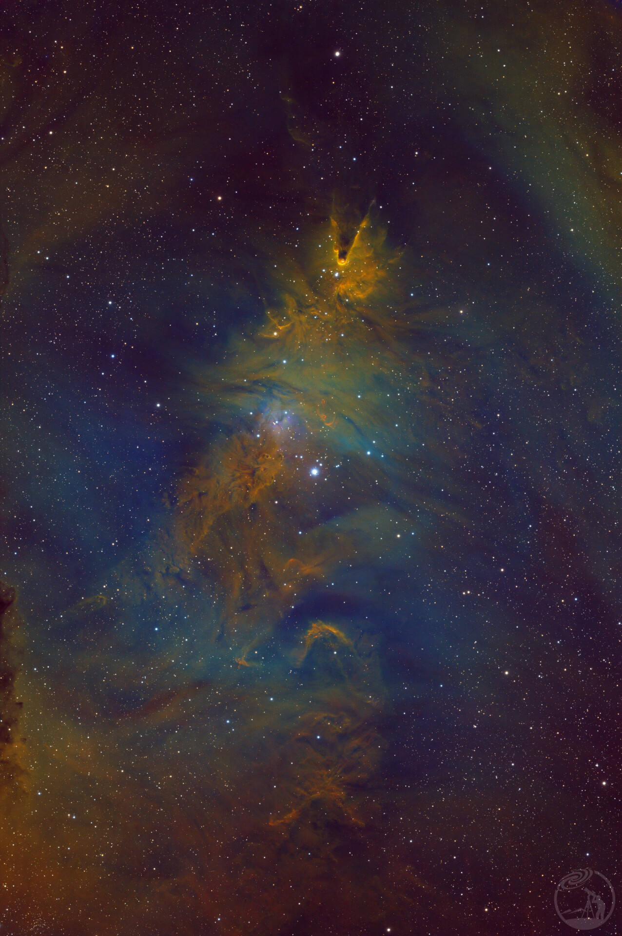 NGC2264
