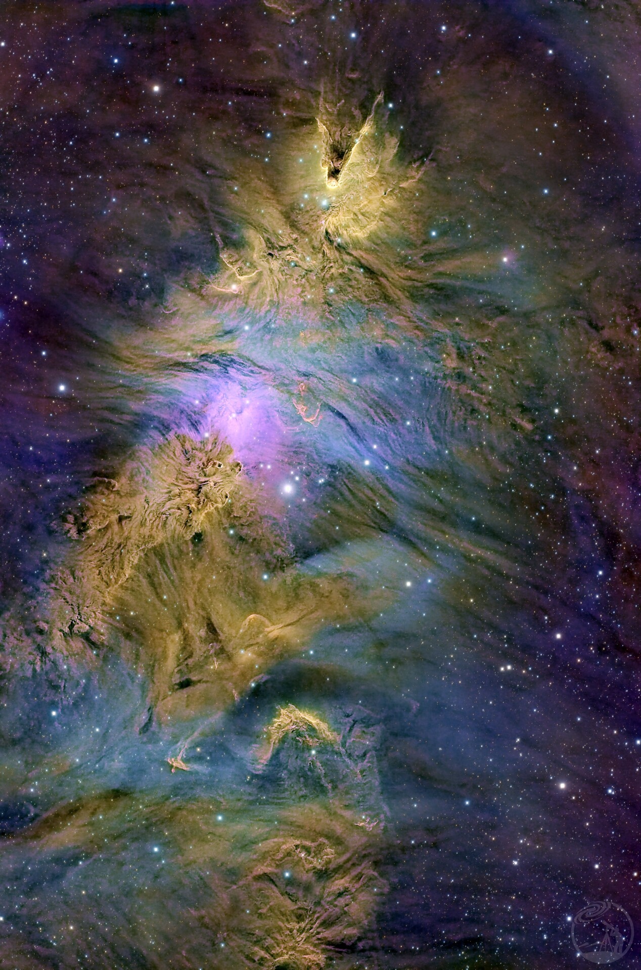 NGC2264圣诞树星云