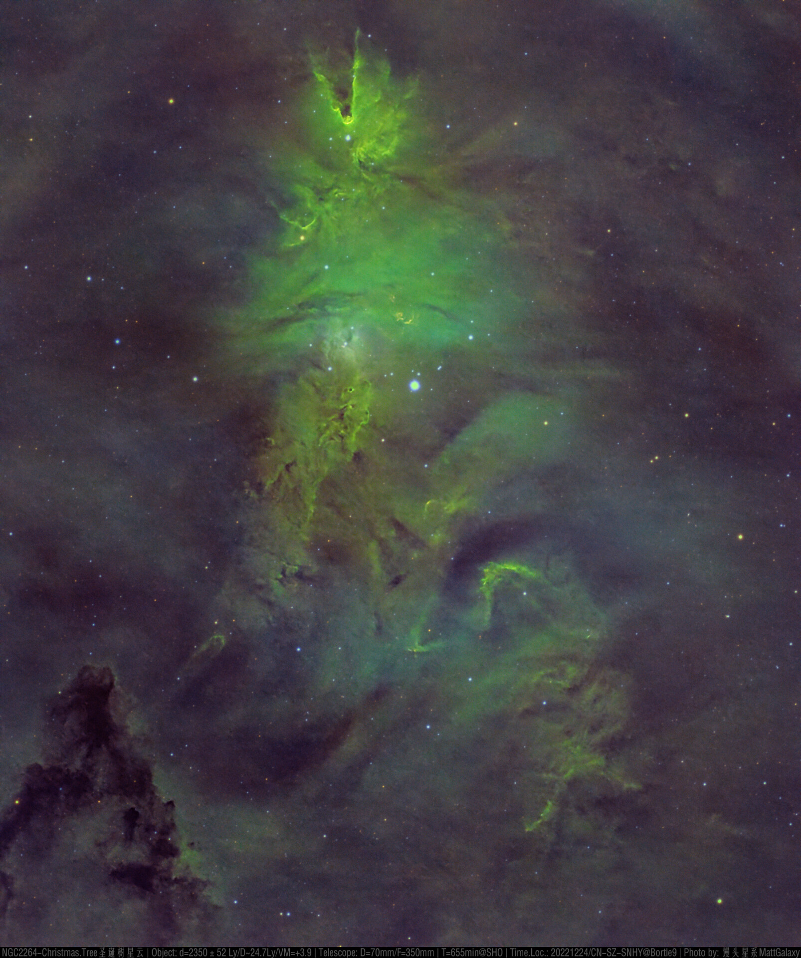 【9级深空系列】NGC2264-Christmas.Tree圣诞树星云
