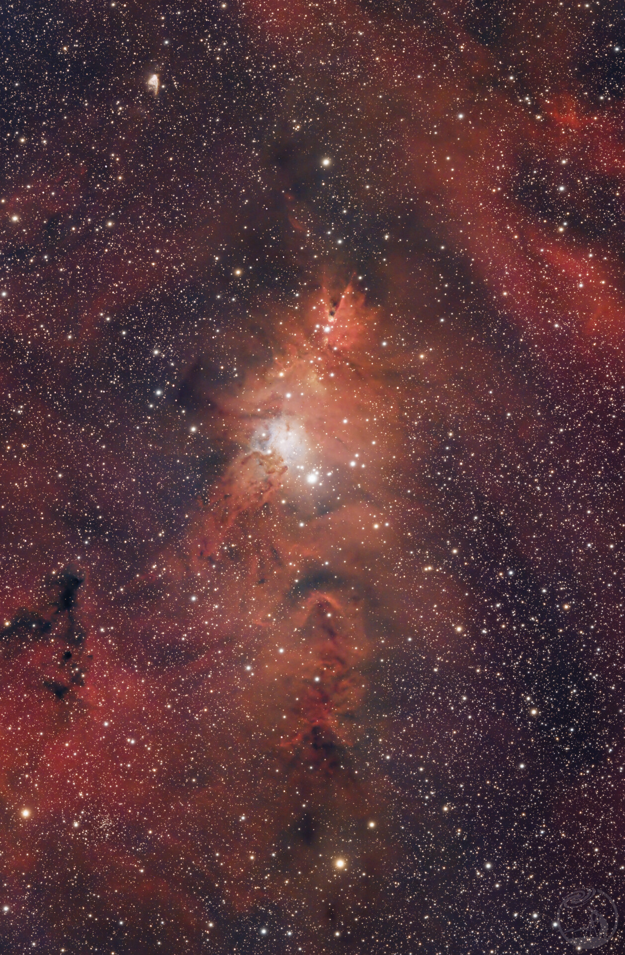 NGC2264 圣诞树星云 圣诞快乐