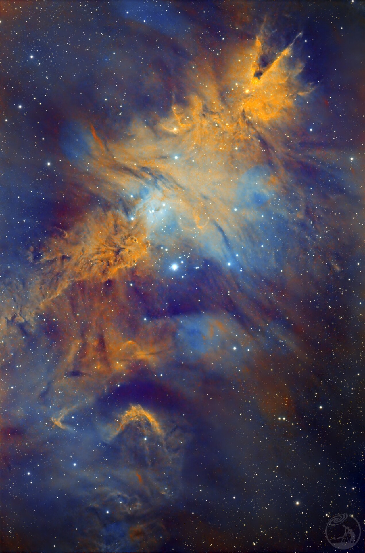 NGC2264 迟到的圣诞树