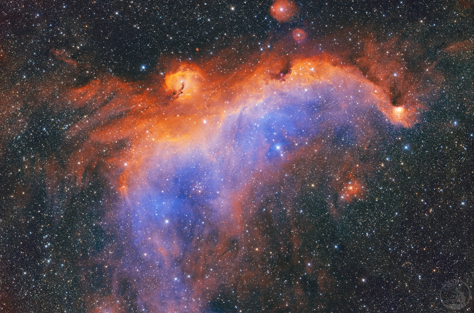 IC2177海鸥星云