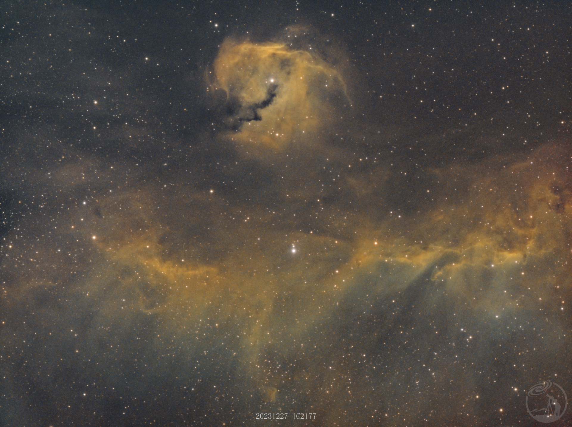 海鸥星云IC2177