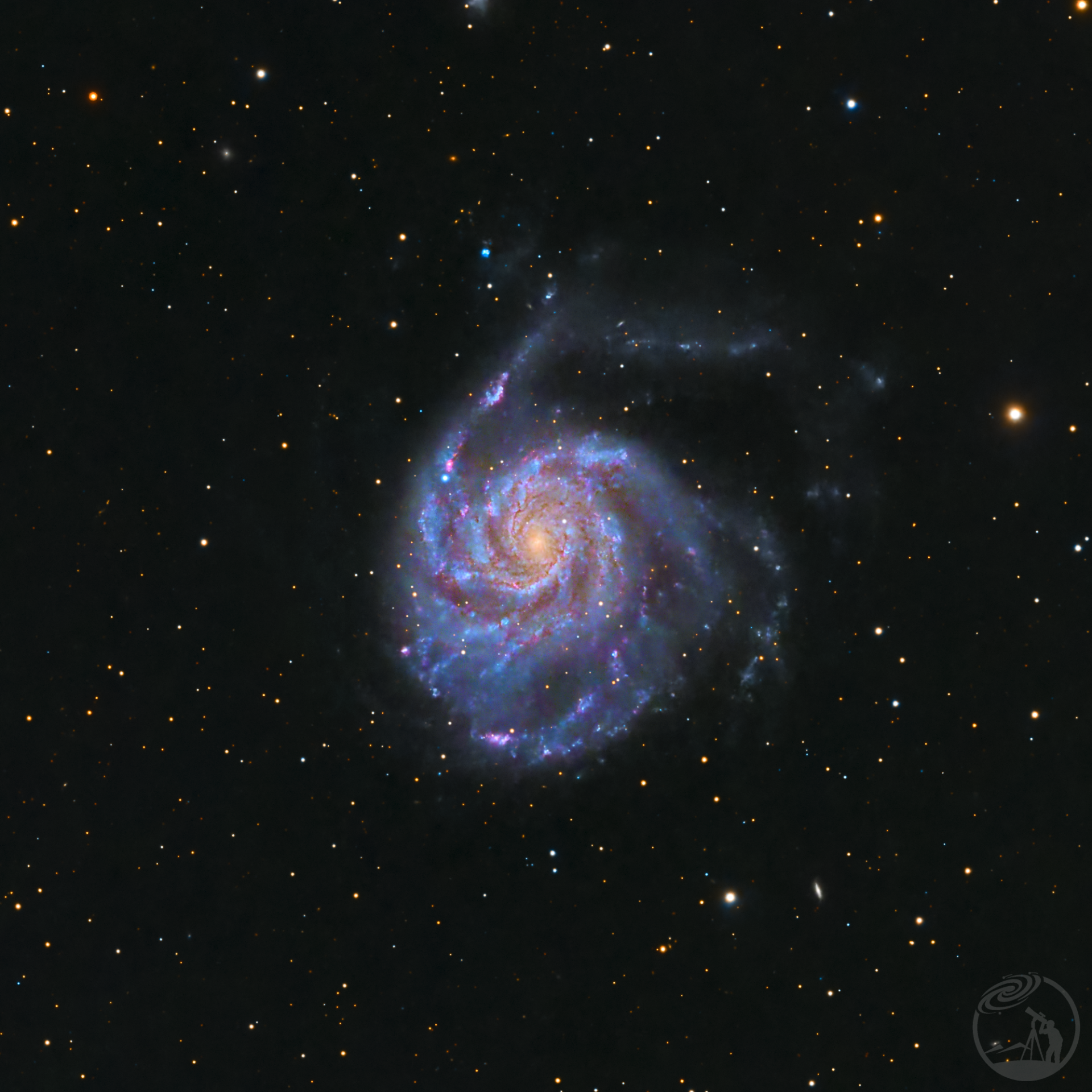 M101超新星
