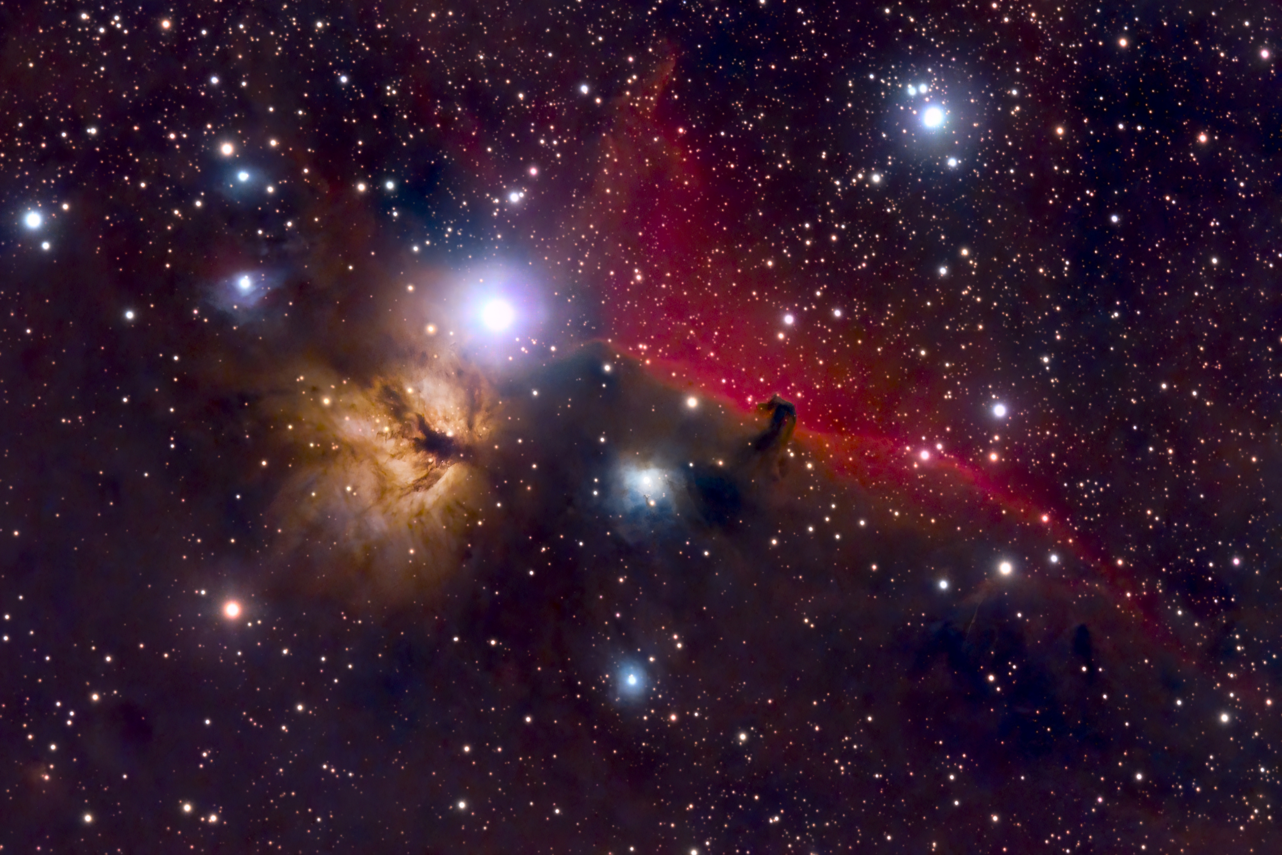 马头星云与火树星云